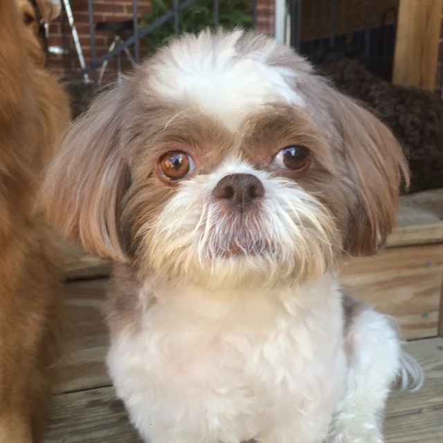 His haircut may cost as much as yours.