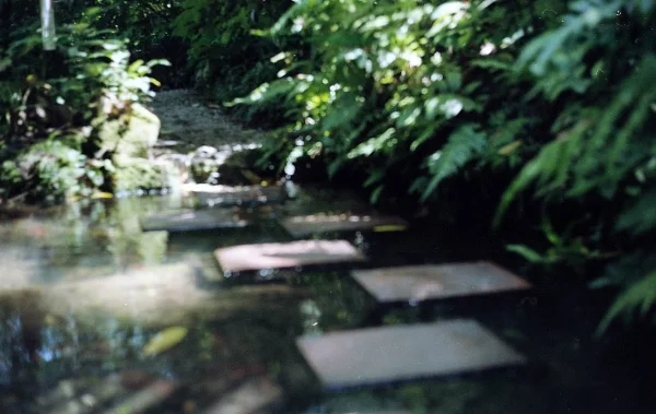 img315.jpg
