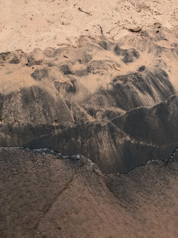 Under a Twilight Sky