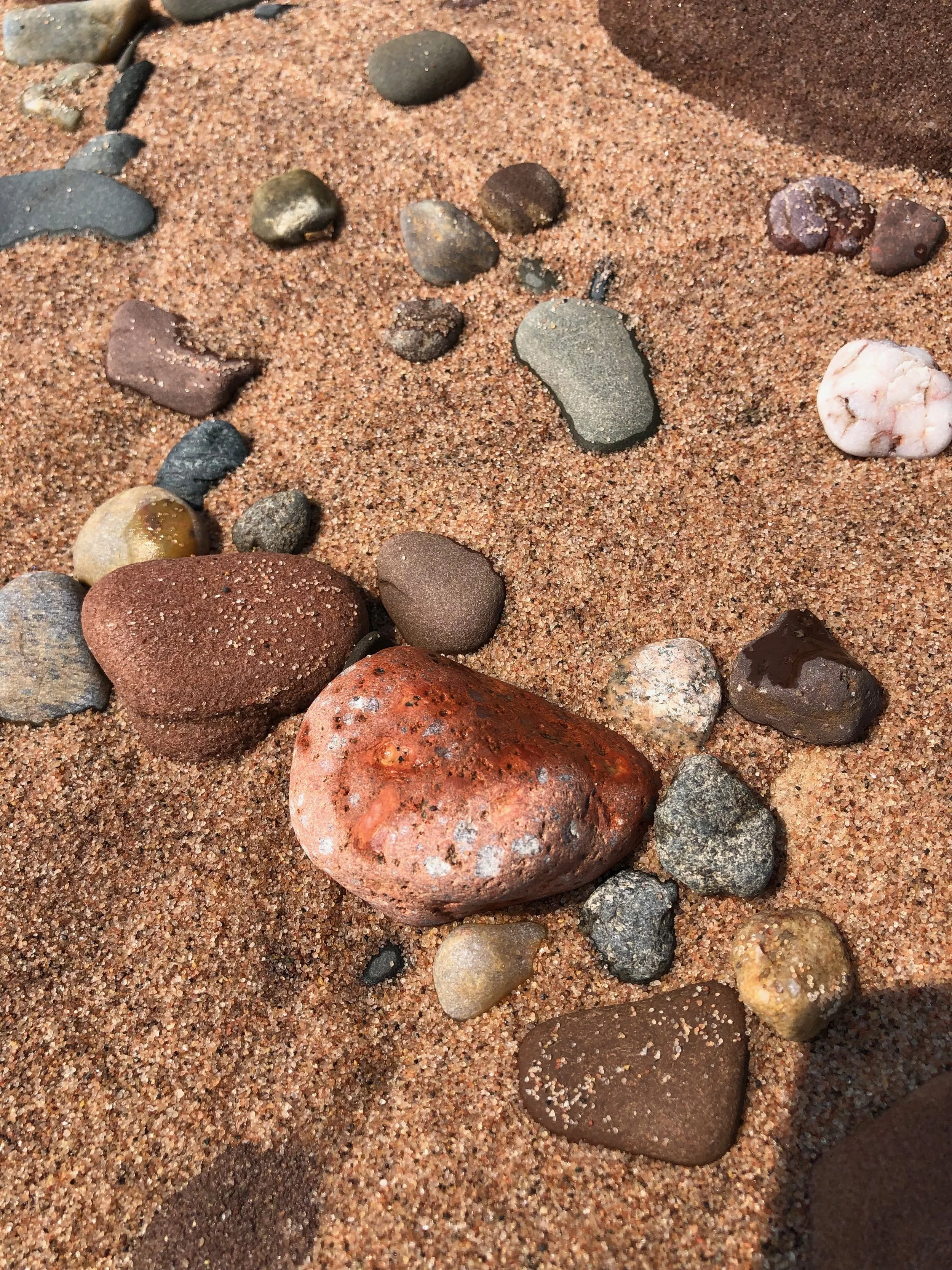 I Am a Lay Theologian