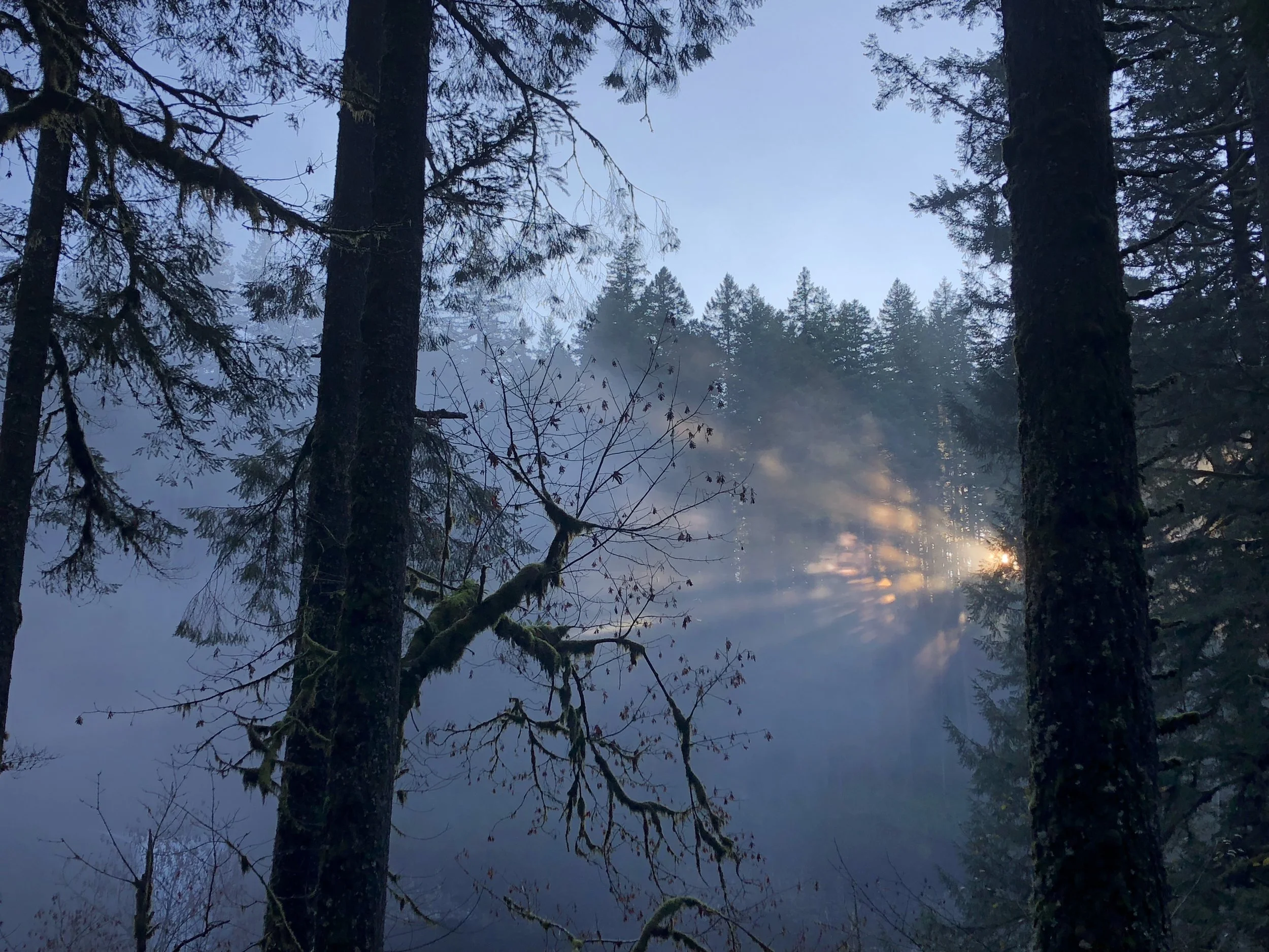 DCInvolvement levels .jpg