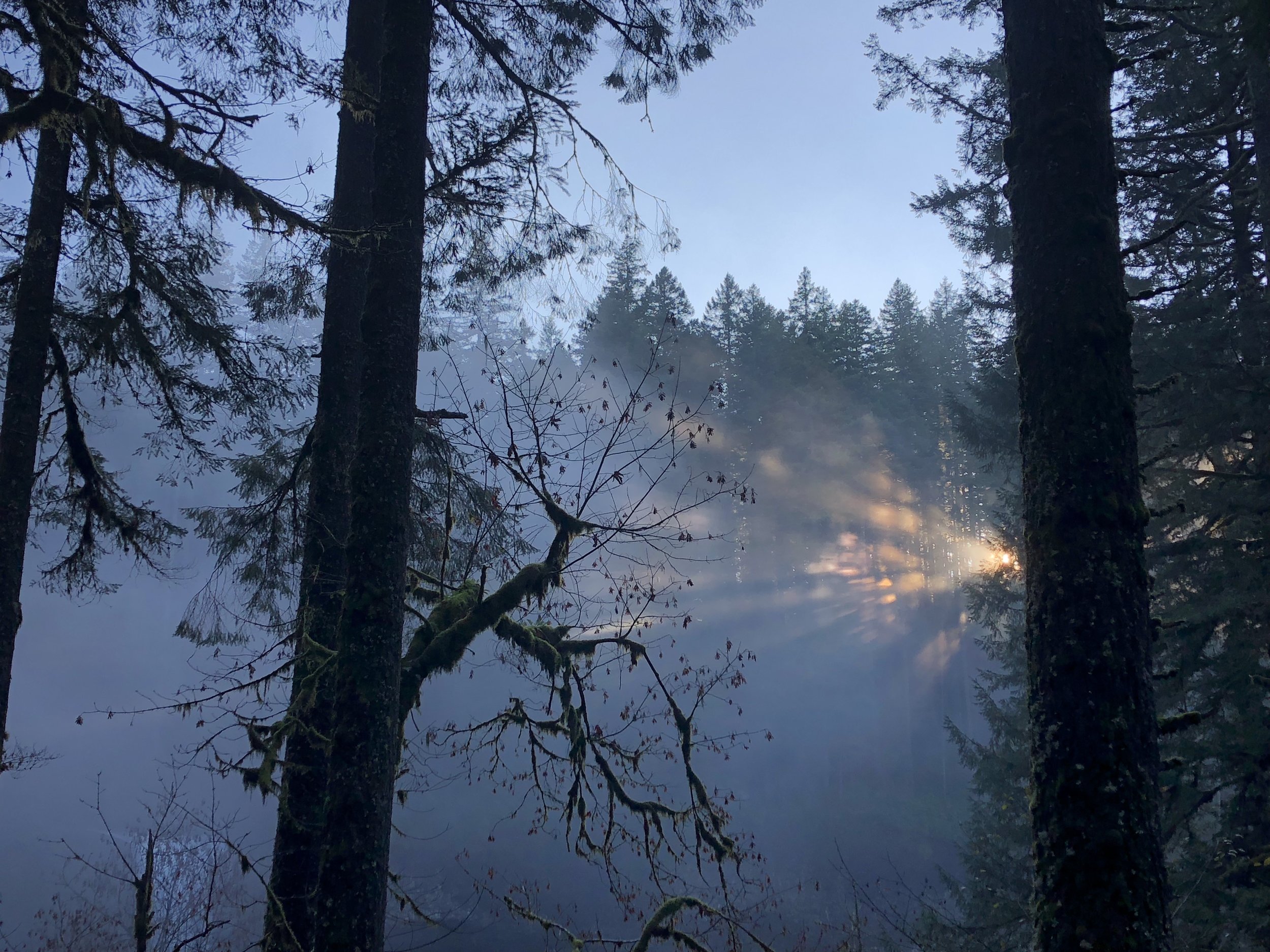 Meet Dillon Hargrave