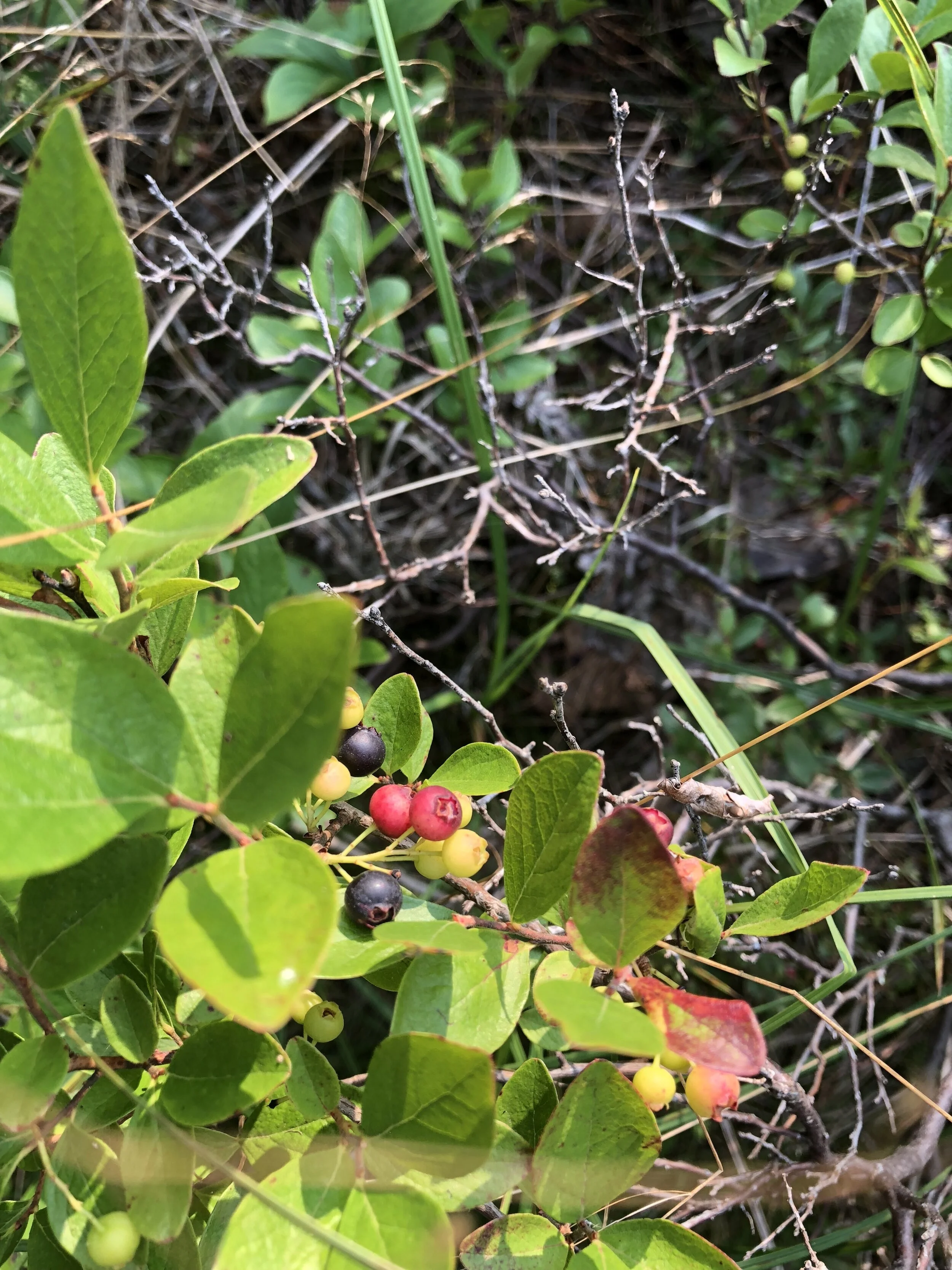 What My Shoes Say About Me...