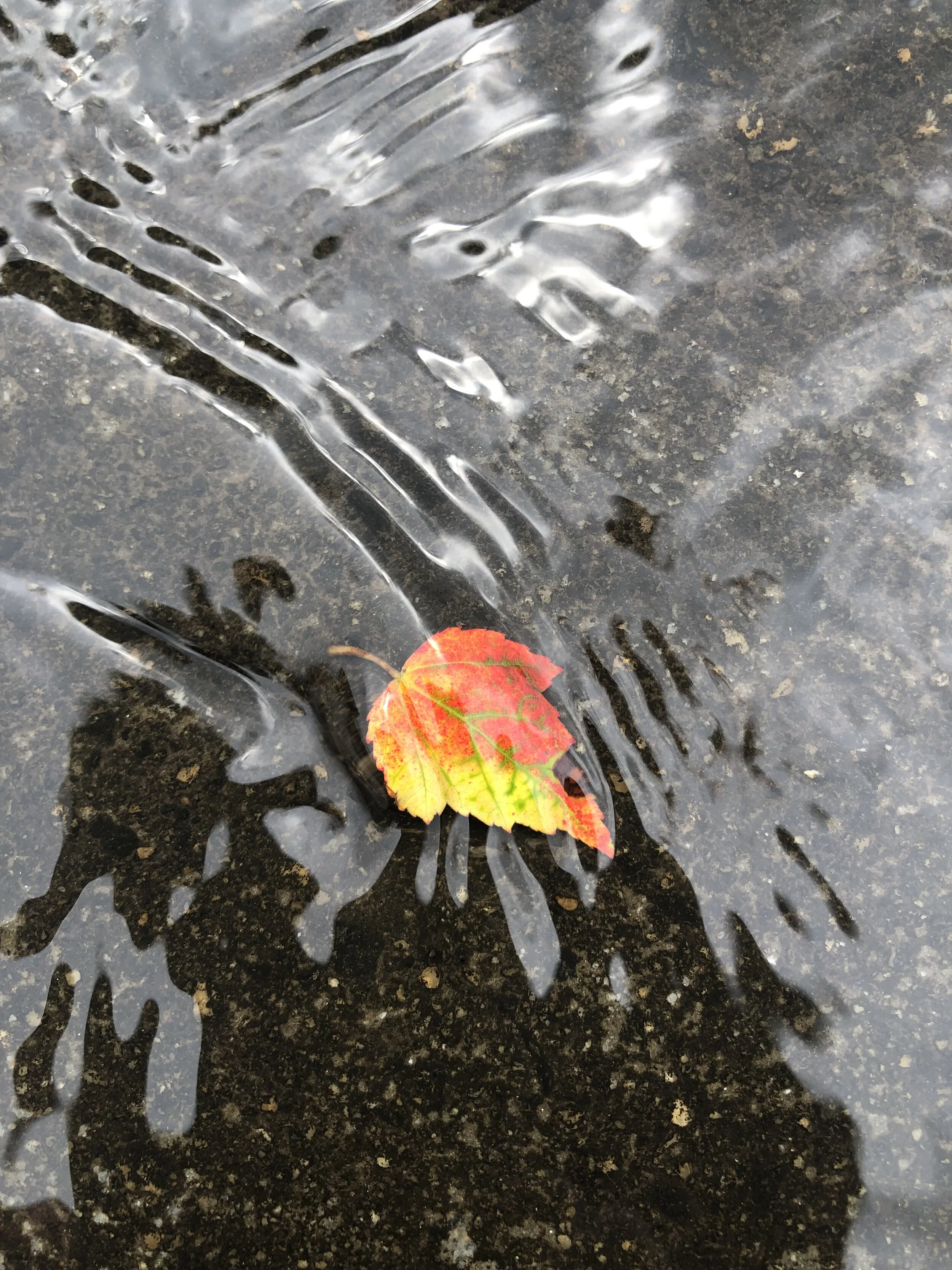 Standing in the Hallway