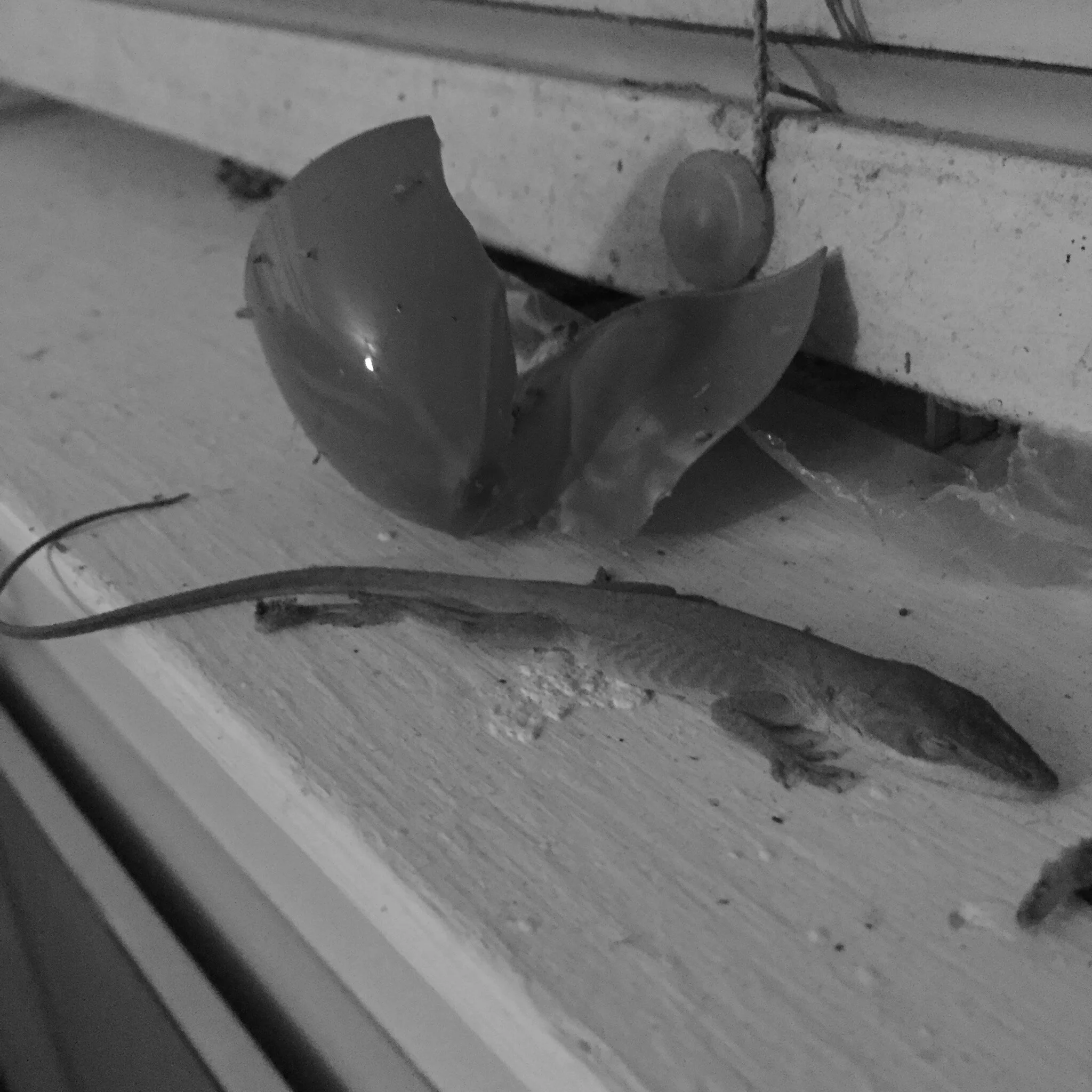 Pay Attention to what You Pay Attention To