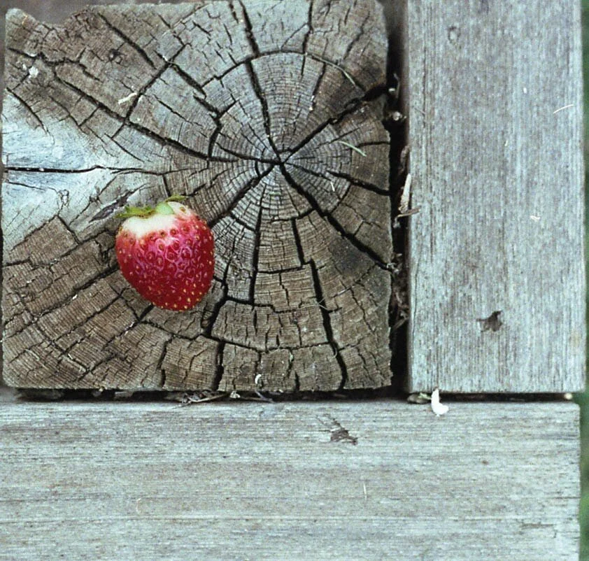 img061.jpg