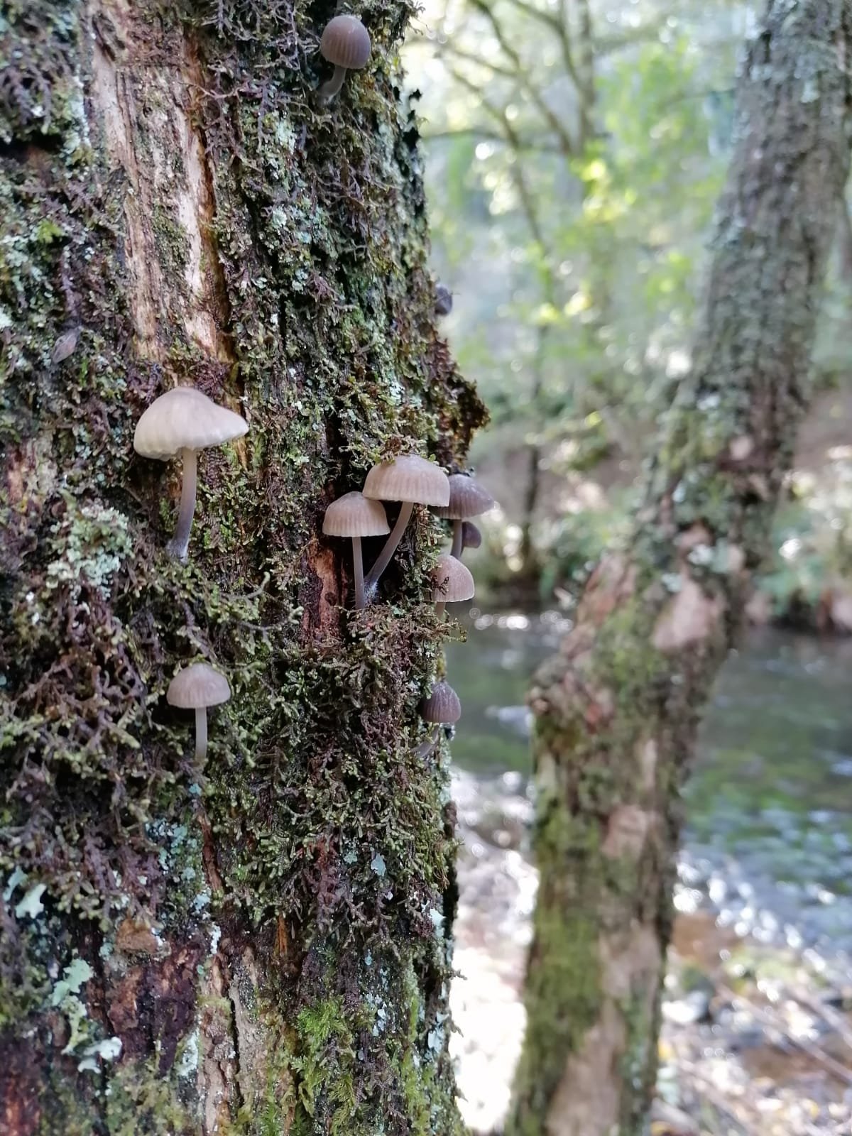 We're Not Ducks at All