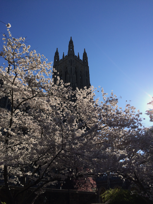 The Ecology of Holiness