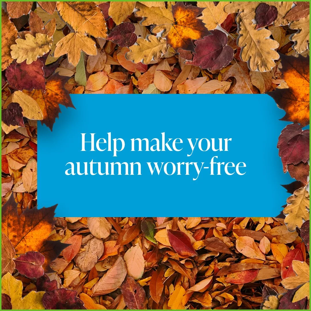 Autumn 1.jpg