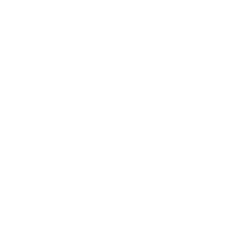 Cat Sitting Manchester
