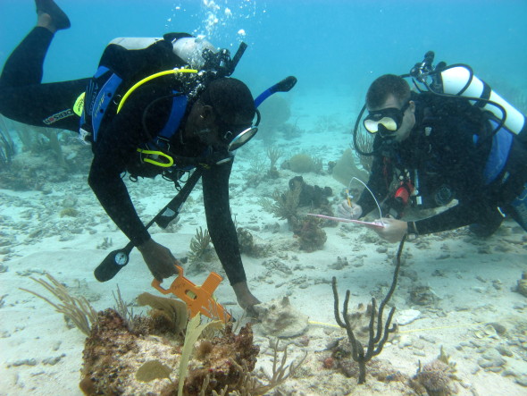 Local and foreign scientists collaborating on conch research. (Photo courtesy Waitt Institute)