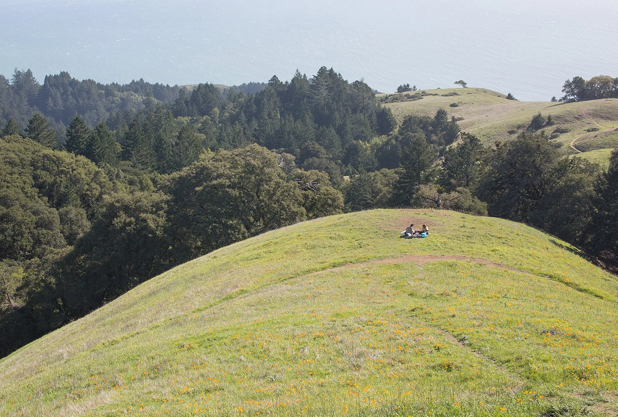 Steep-Ravine-From-SF-With-Love-_002B.jpg