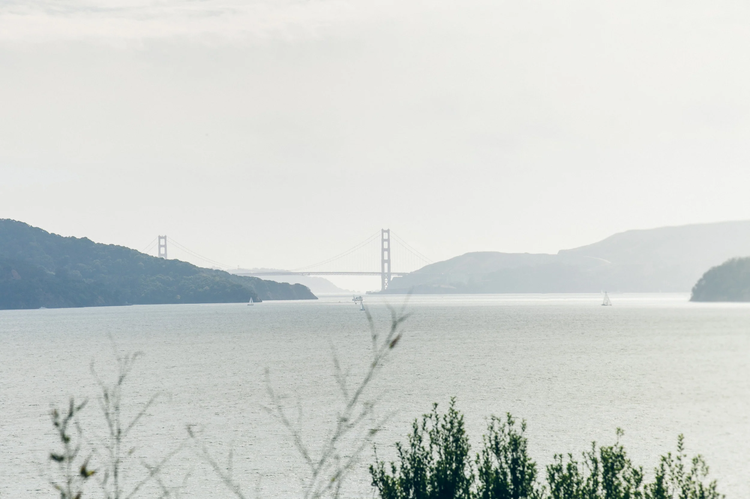 Marin-SF-Wedding-0347.jpg