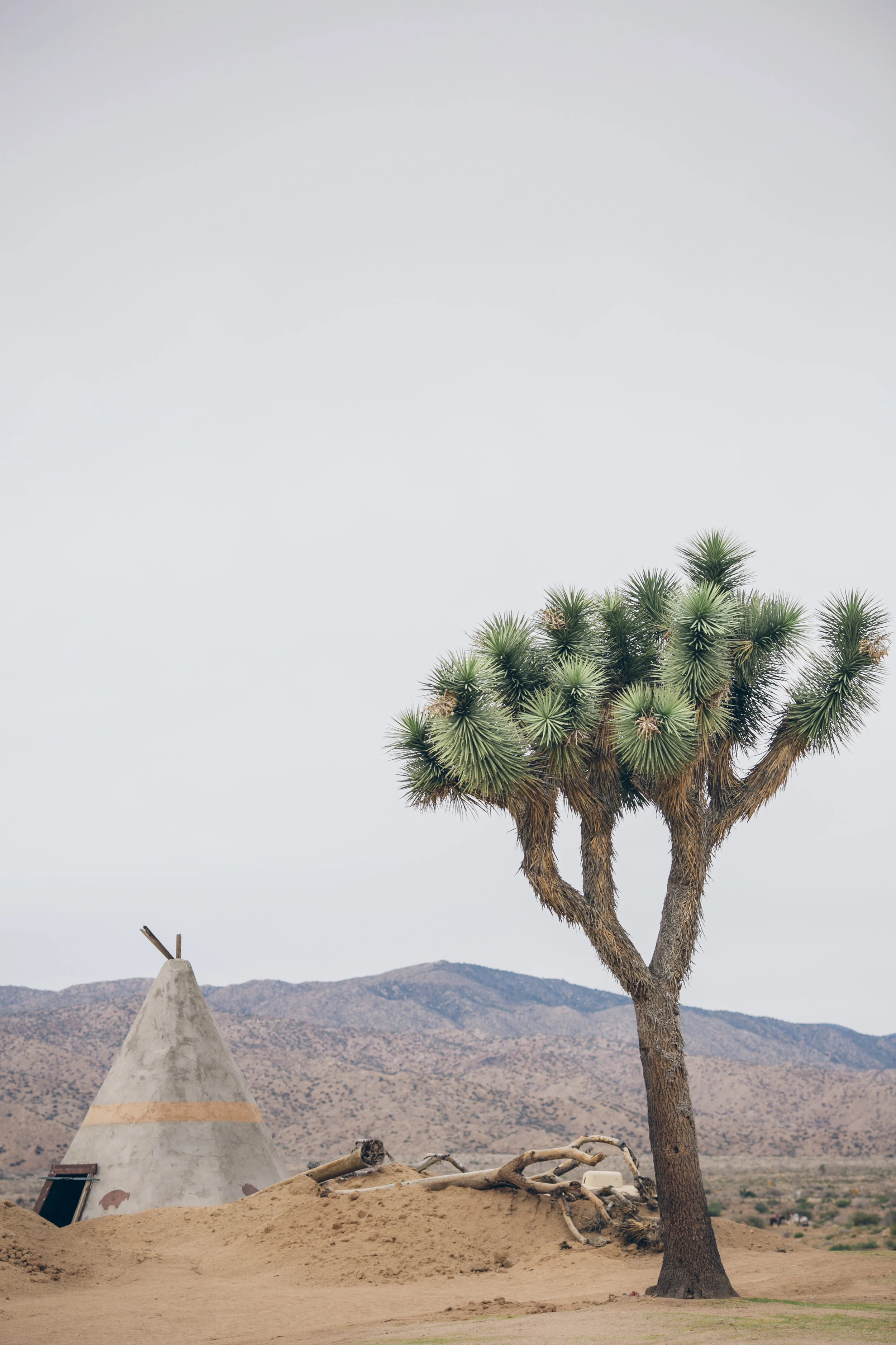 Joshua-Tree-Wedding-Rimrock-Ranch-0049-010058.jpg