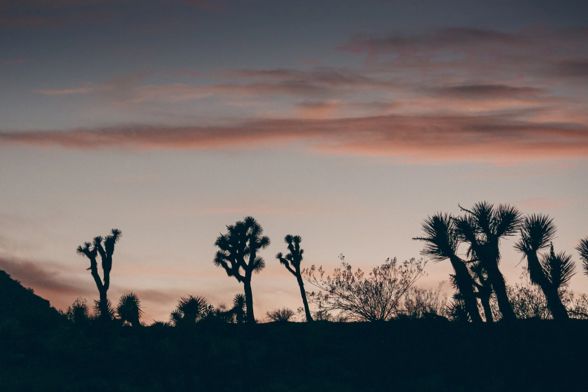 Joshua-Tree-Wedding-Rimrock-Ranchg-0002-019074.jpg