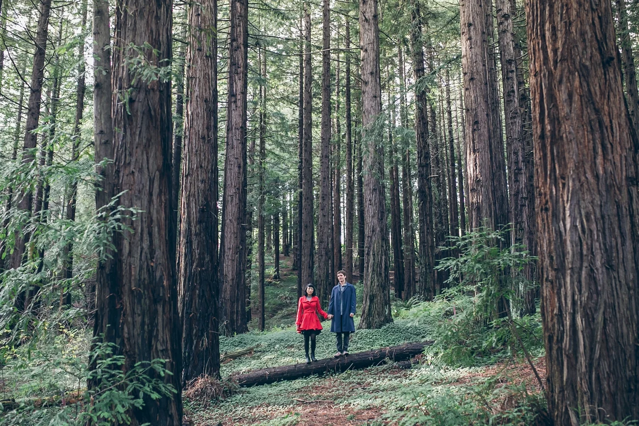 UC Berkeley Redwood Grove Engagement
