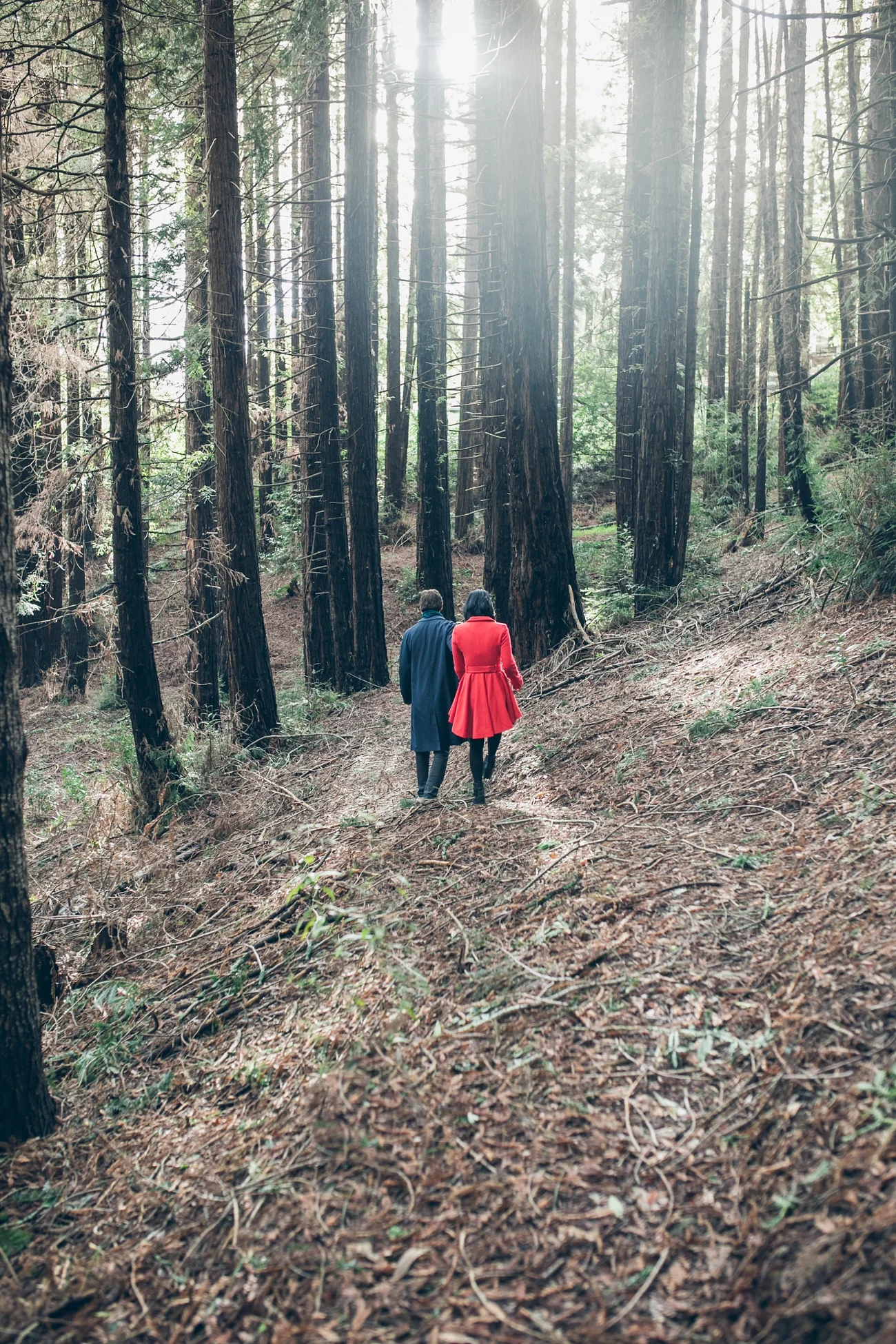 UC Berkeley Redwood Grove Engagement