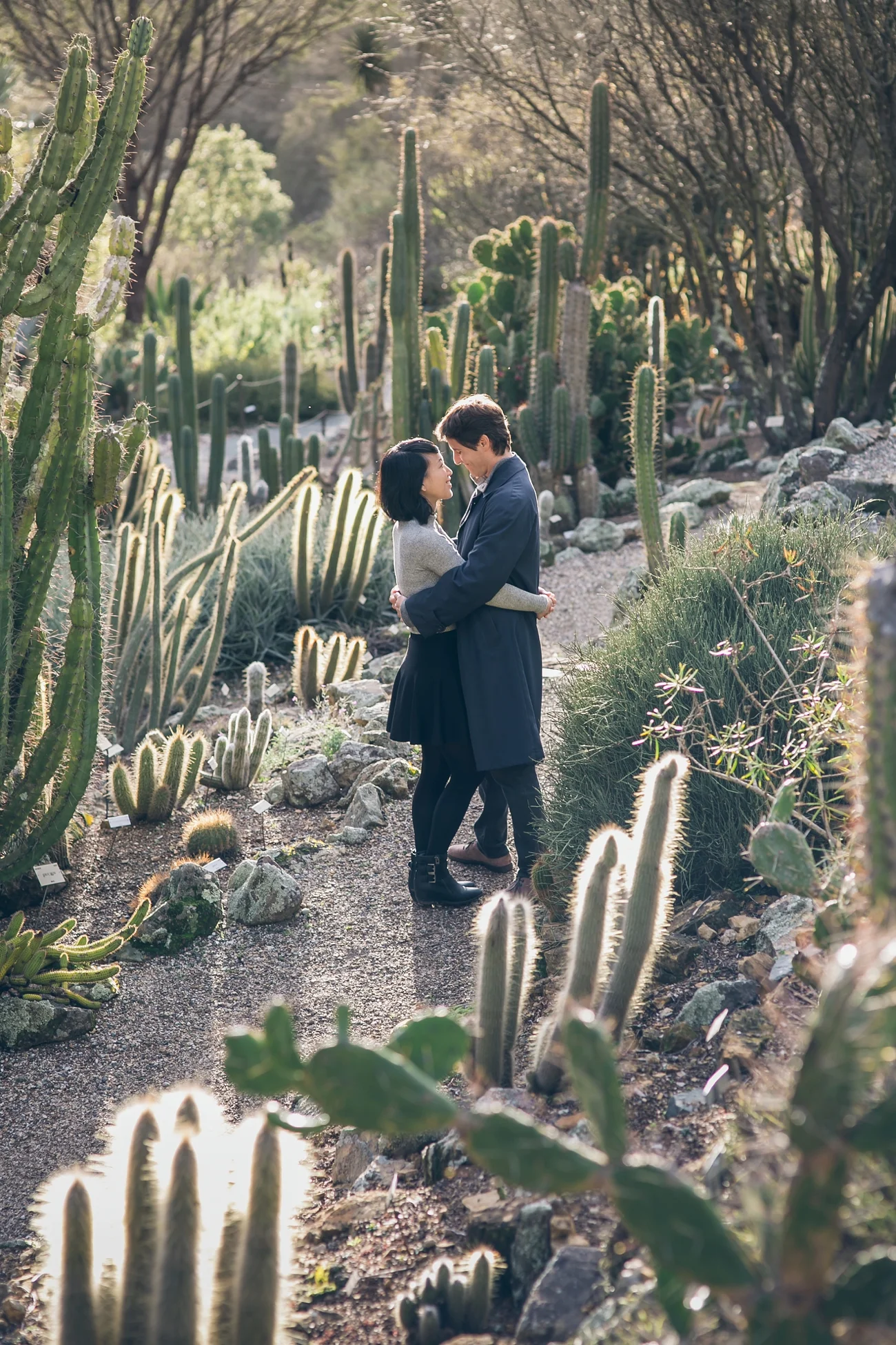 UC Berkeley Redwood Grove Engagement