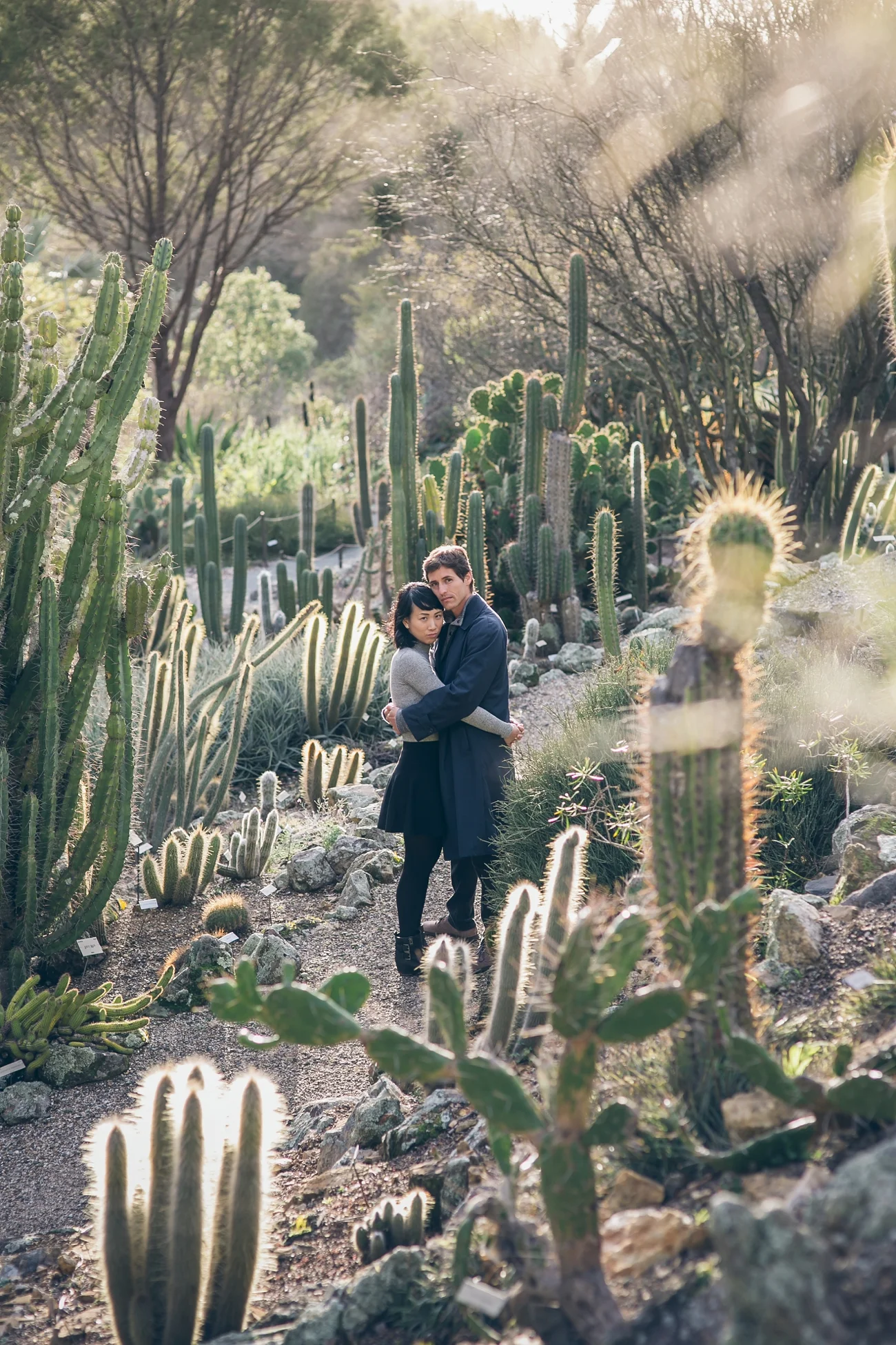UC Berkeley Redwood Grove Engagement