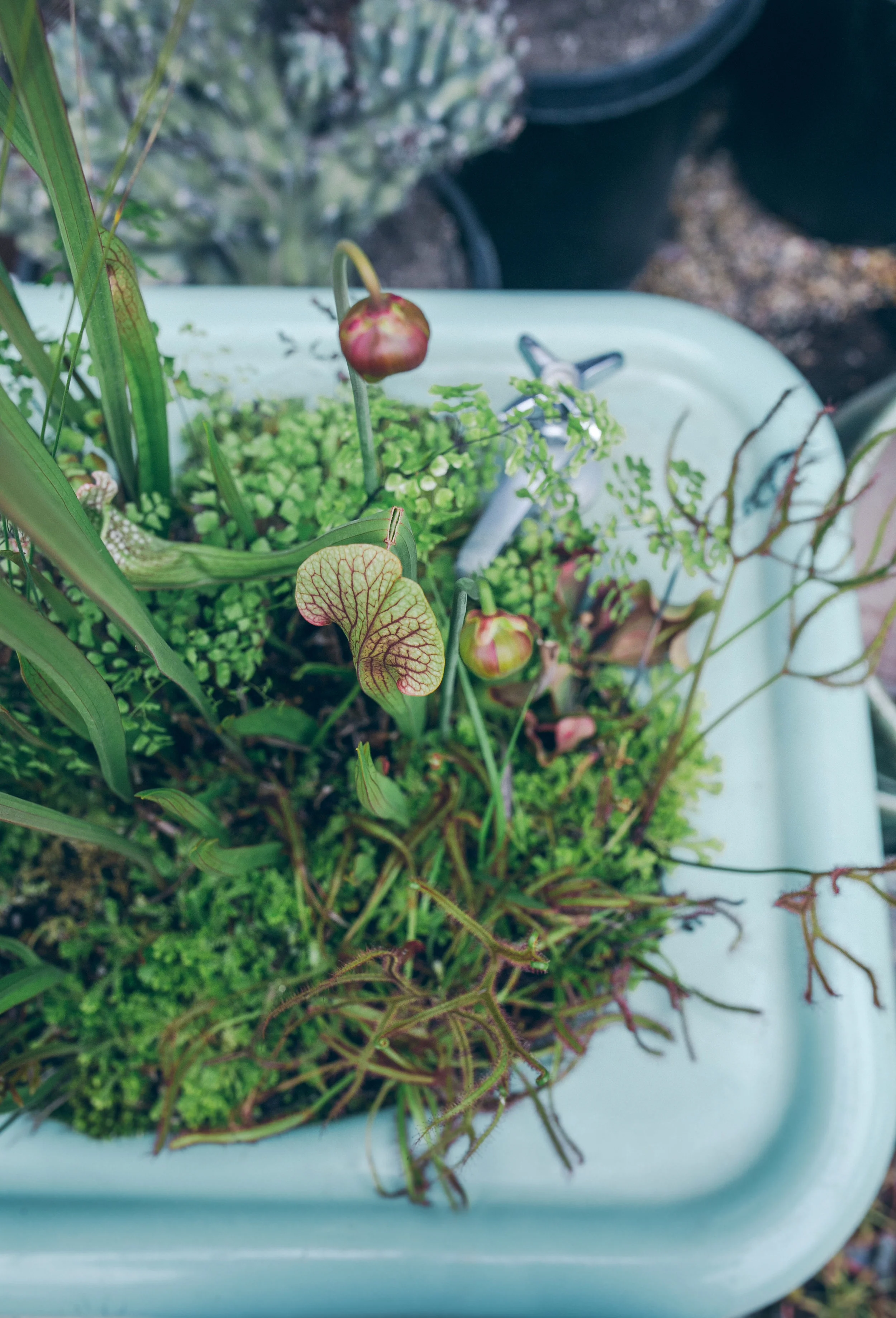 FLORA-GRUBB-013678(R).jpg