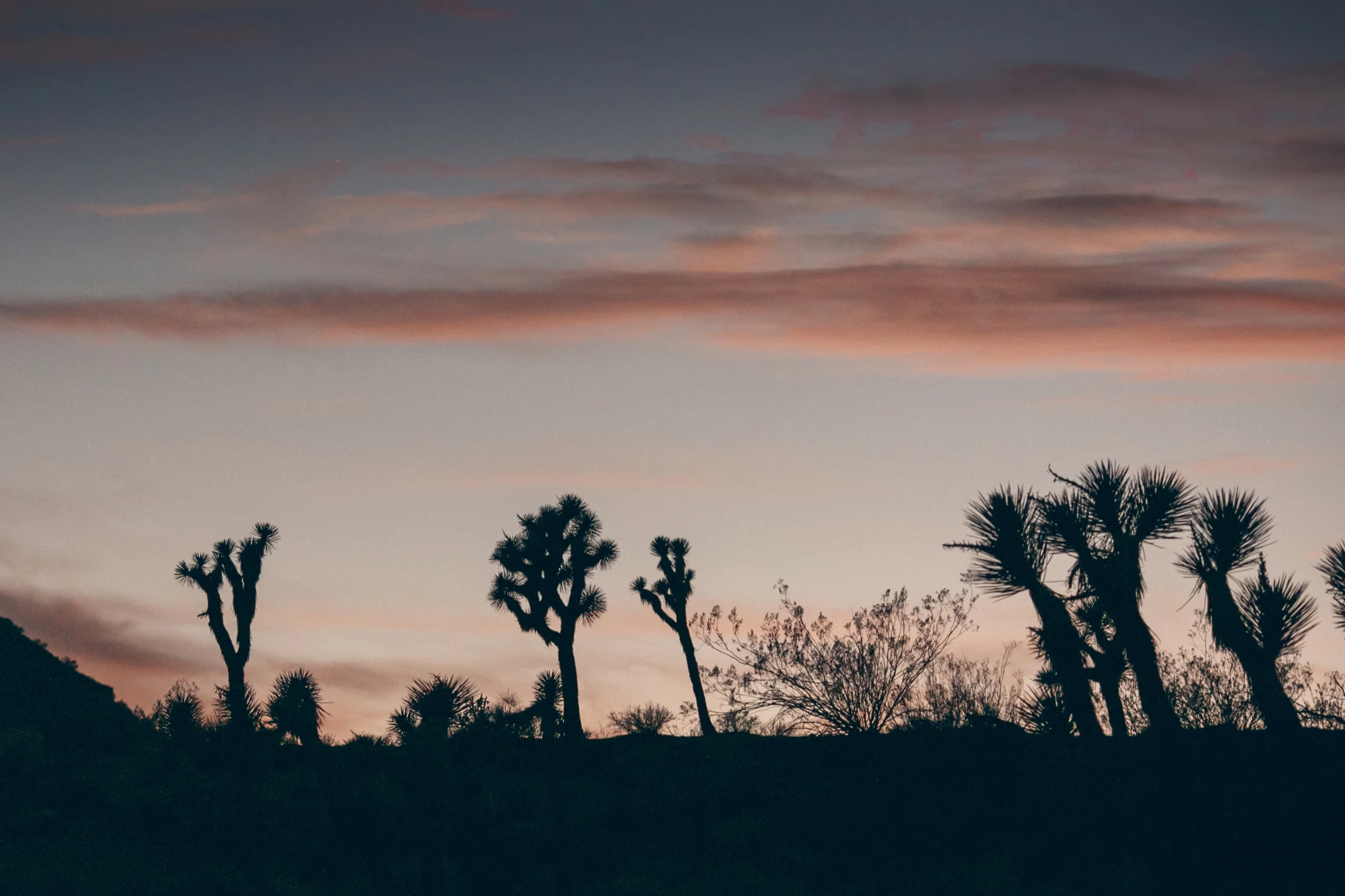 Joshua-Tree-Wedding-Rimrock-Ranch_0014.jpg