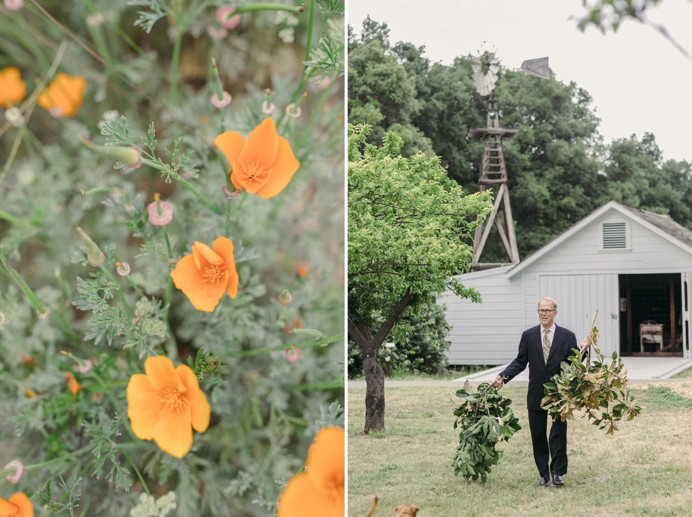 Oakland Wedding