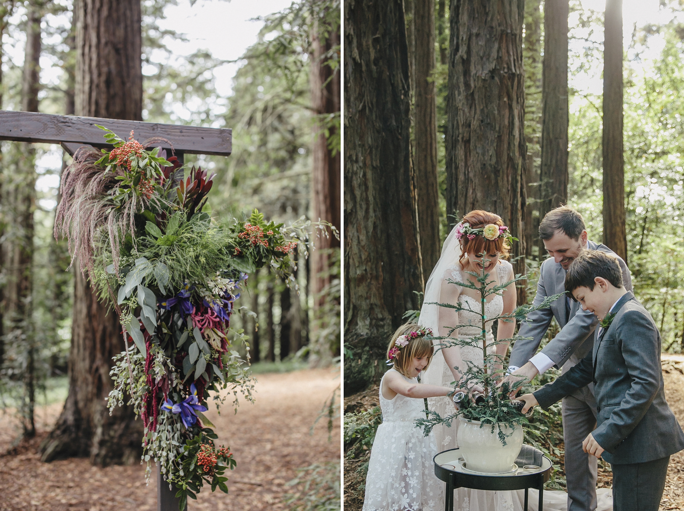 Redwood regional-oakland-wedding_0005.jpg