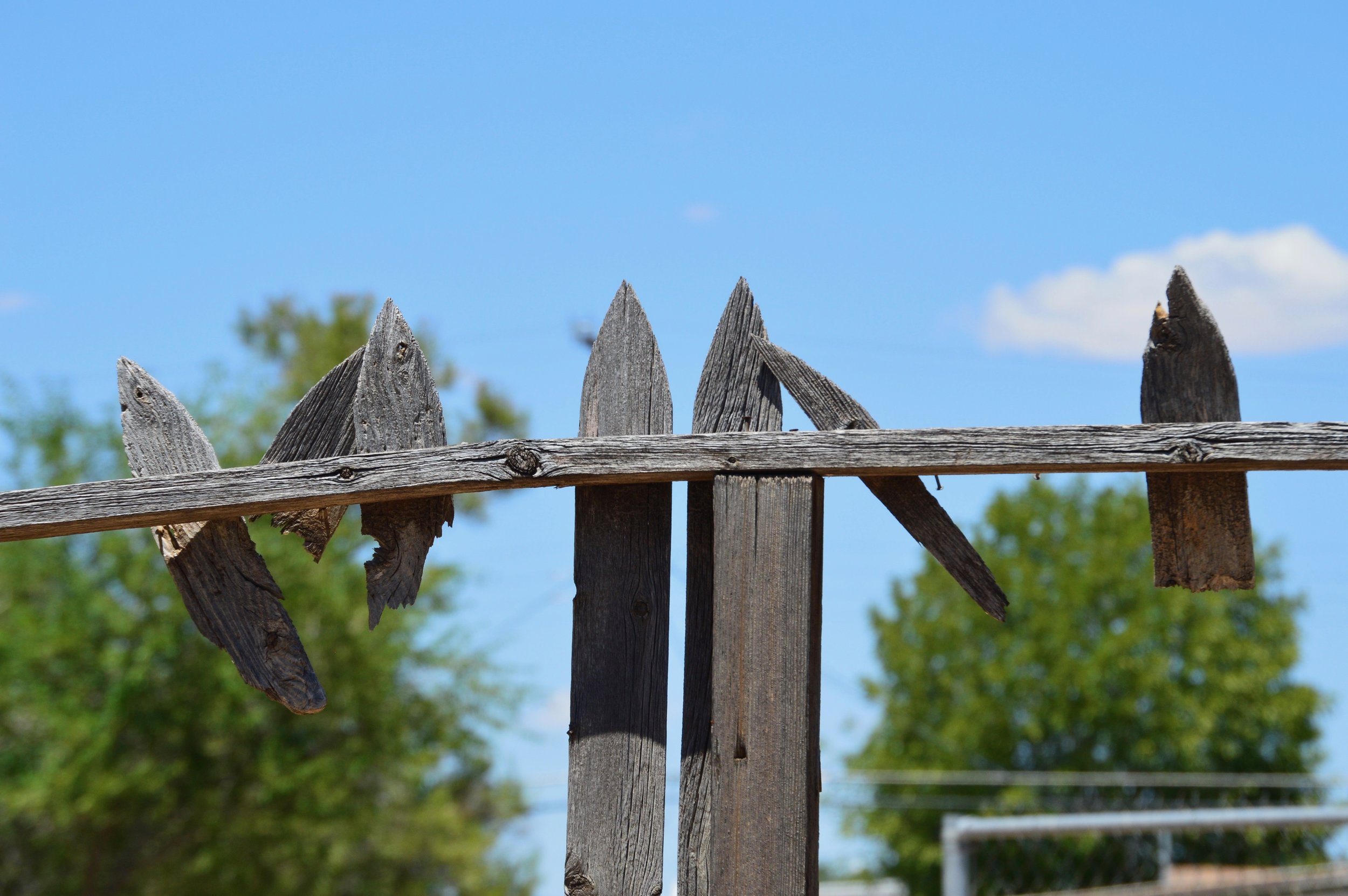 DSC_0512.jpg