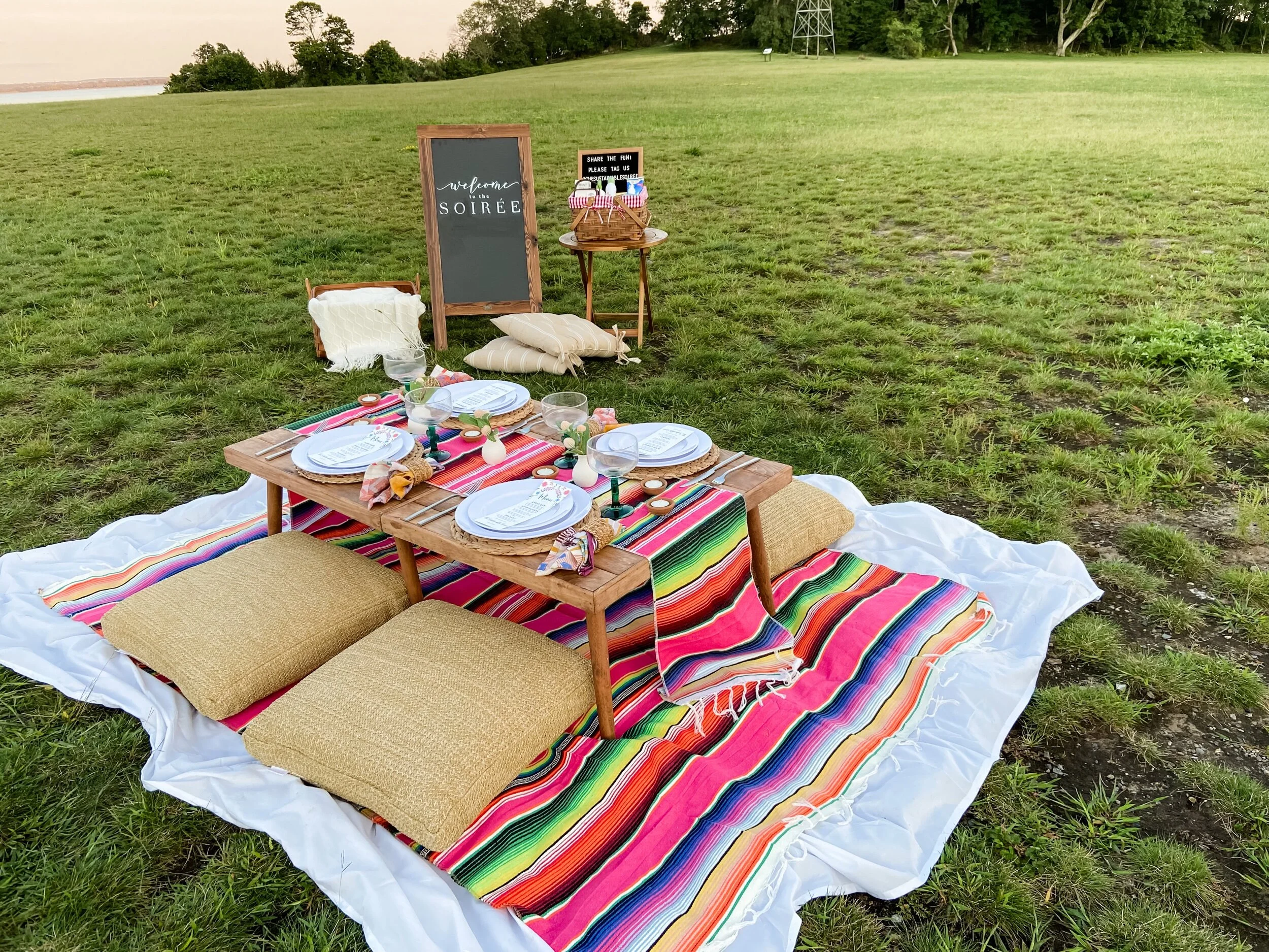 The South of the Border Picnic
