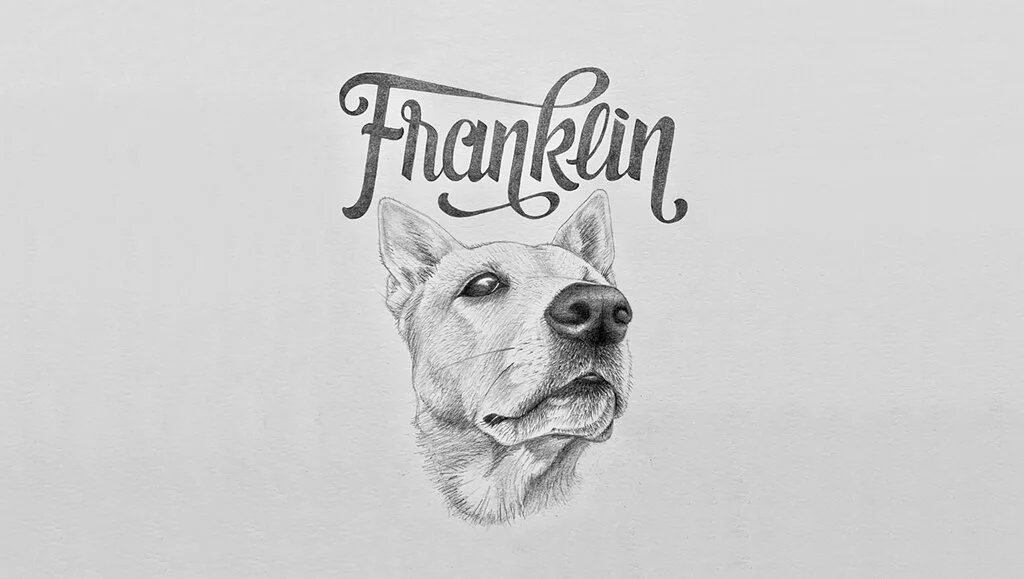 HandLettering-Franklin.jpg