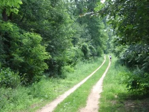 Picture1.jpg