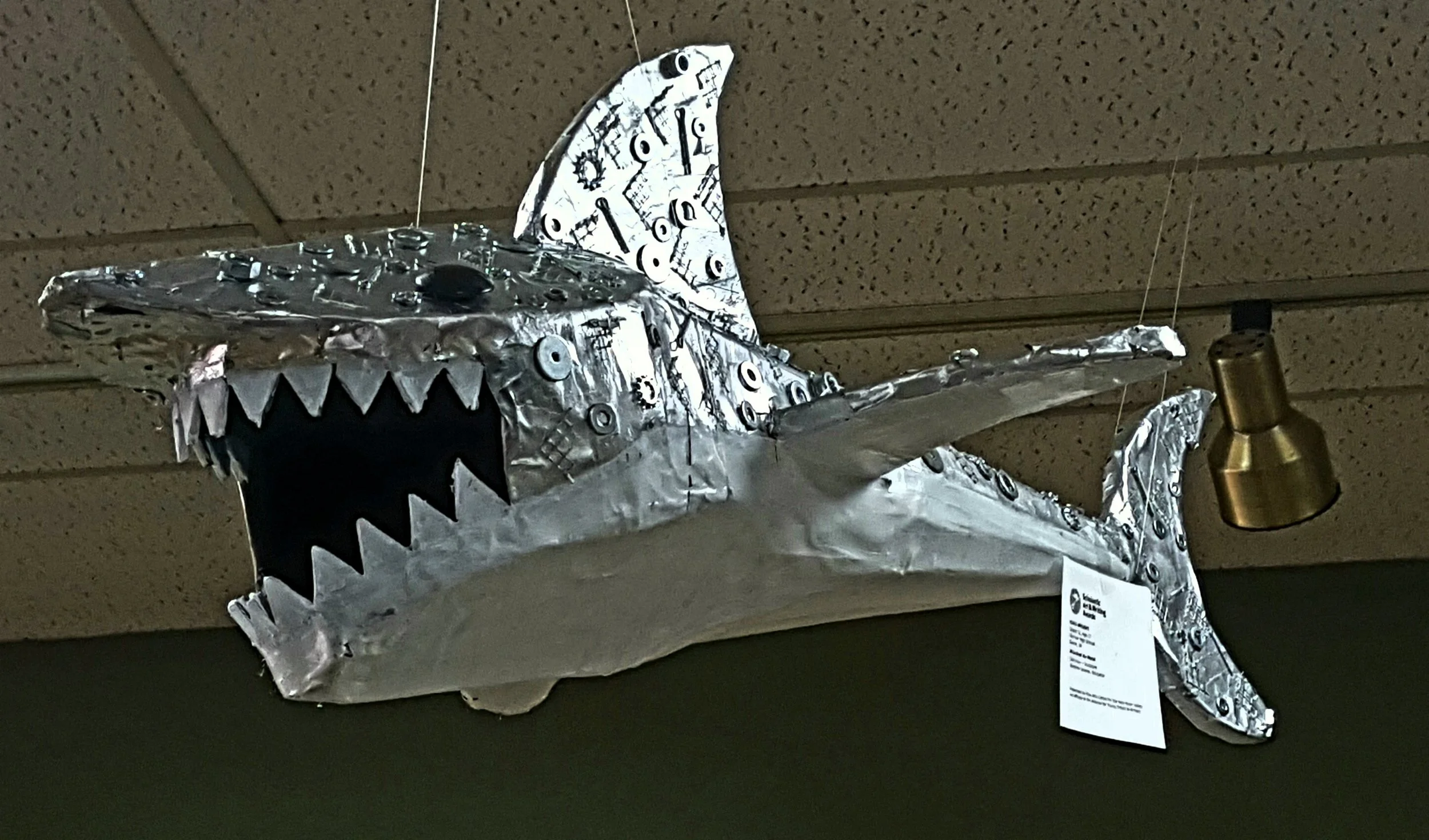 20170218_141106.jpg