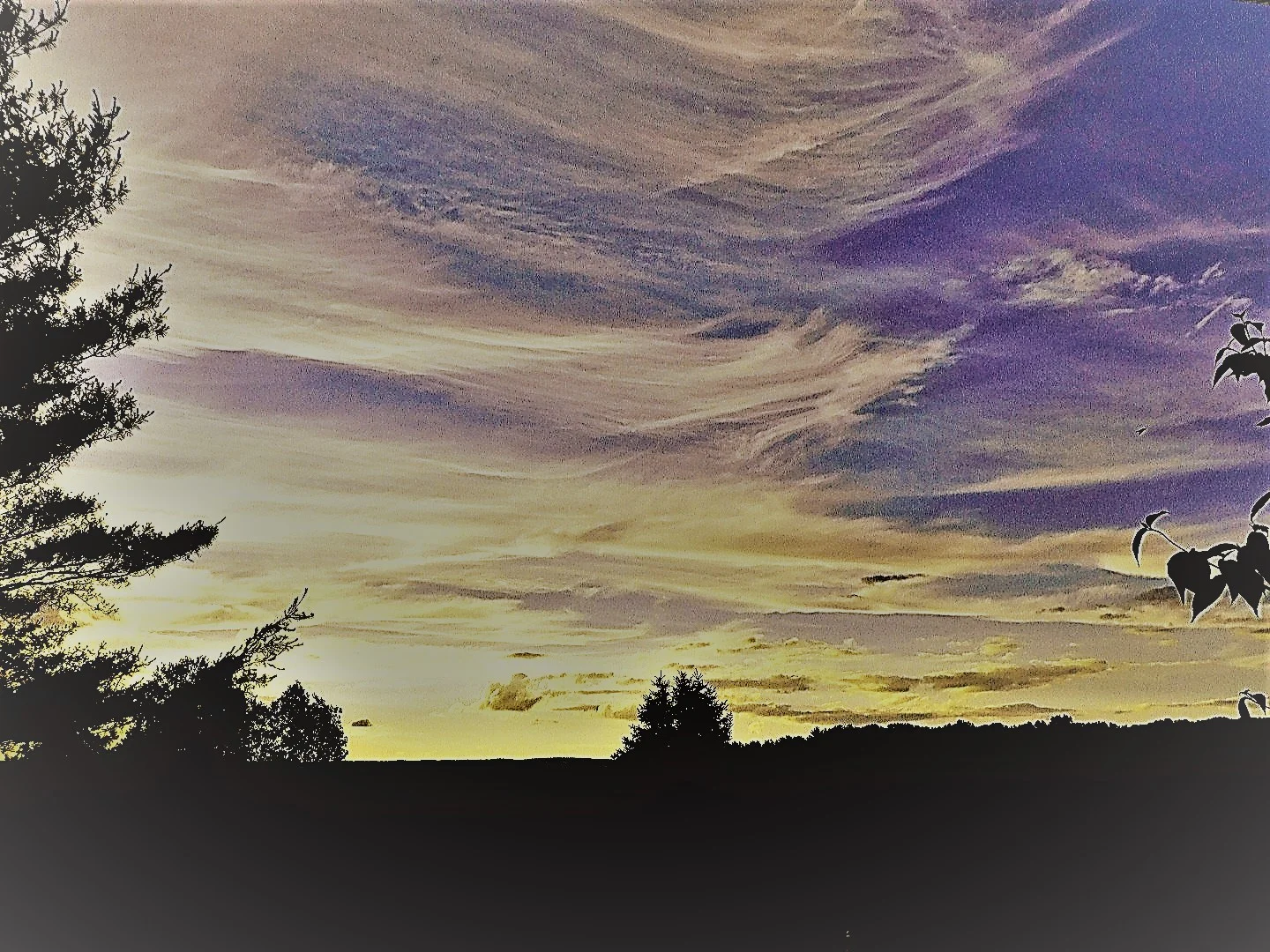 Brushstrokes in the Sky.jpg