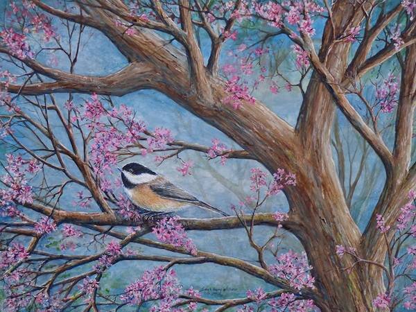 Chickadee and Redbud Tree