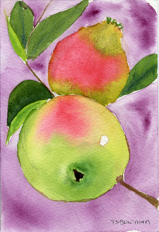 Funky Apples