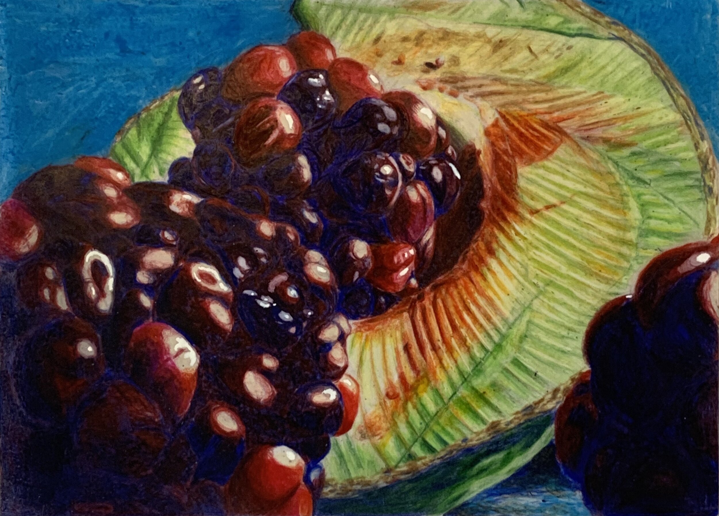 “Color And Texture” by Andrea Gonzalez