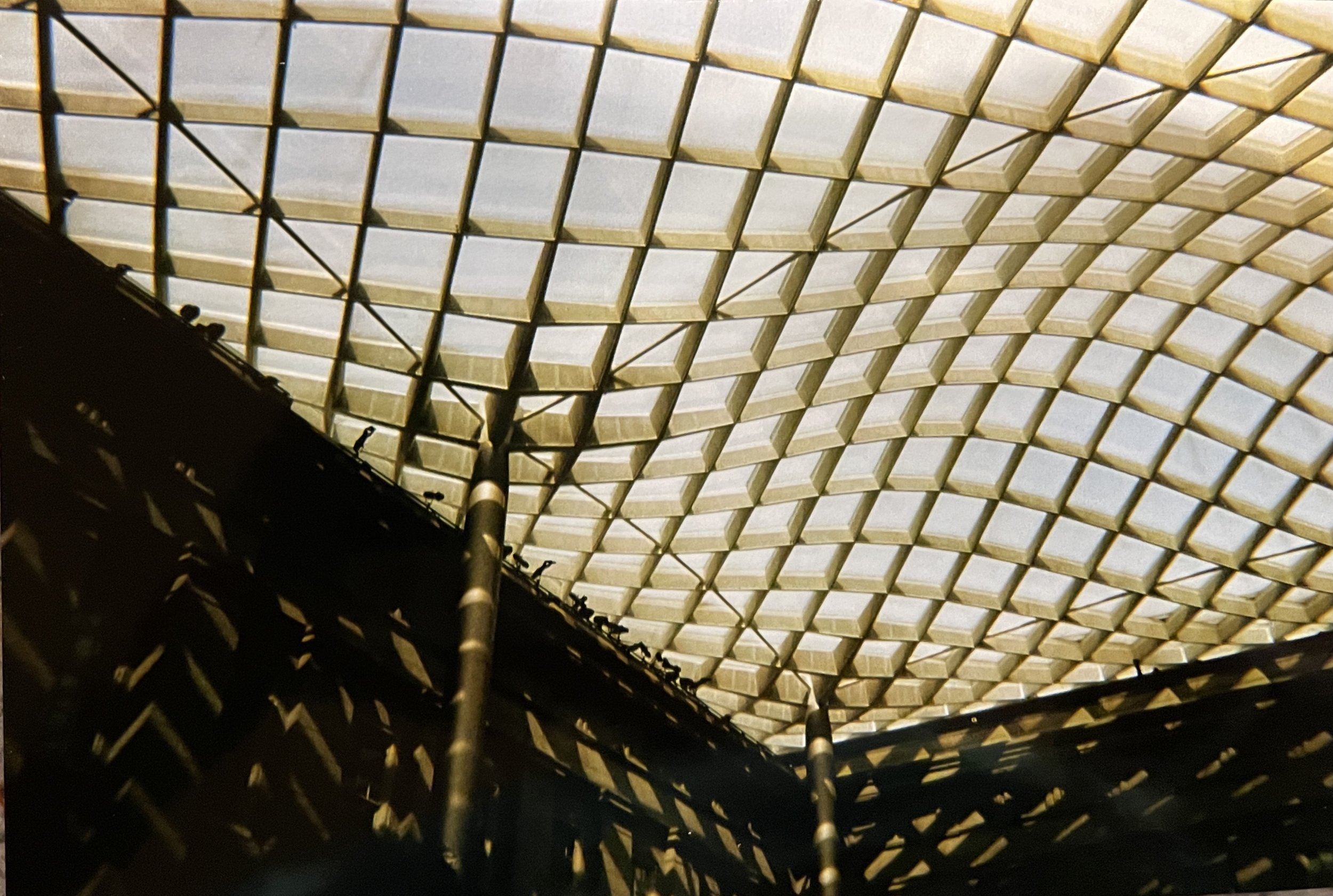 “Uneven Grid” by Caroline Moore