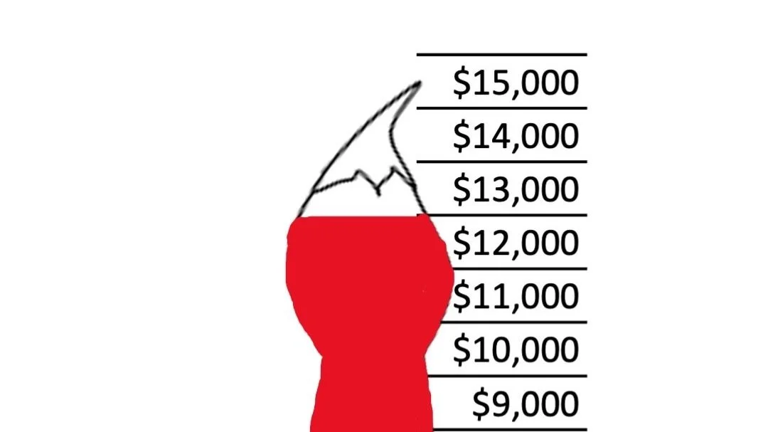 We're getting close to our fundraising goal. Can you help?