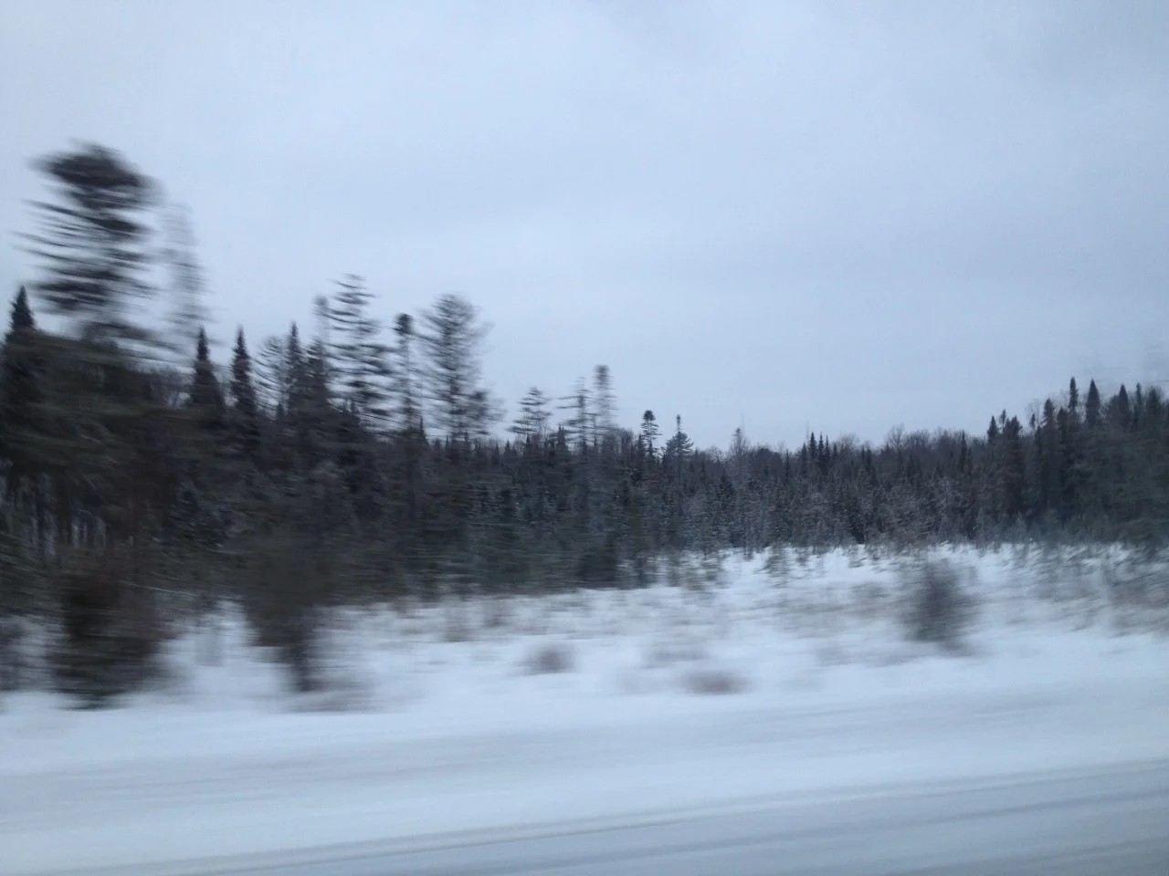 rte 11.jpg
