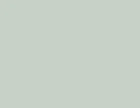 35622 Flat Duck Egg Blue.JPG