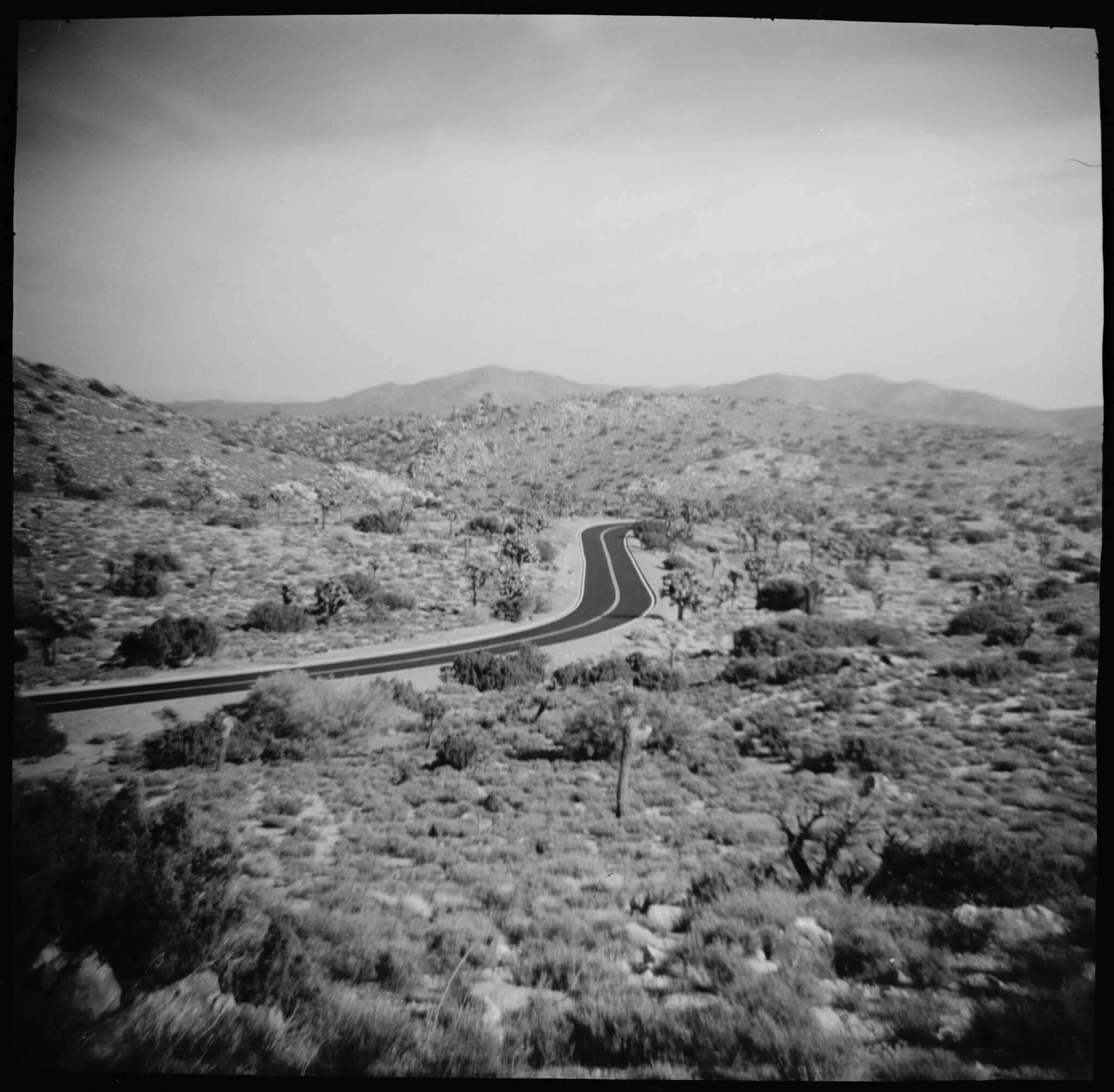 2008010218.jpg