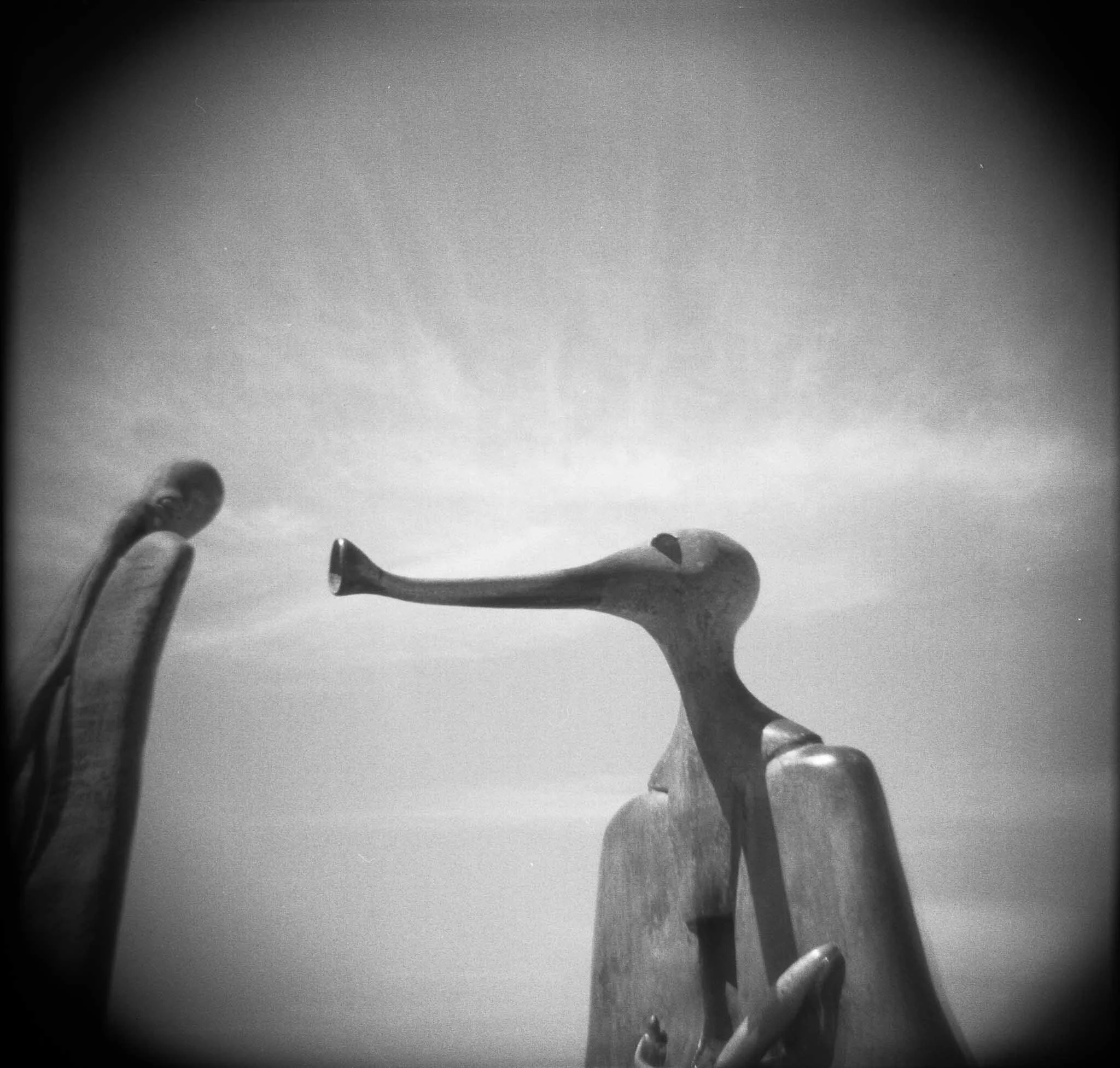 200903165.jpg