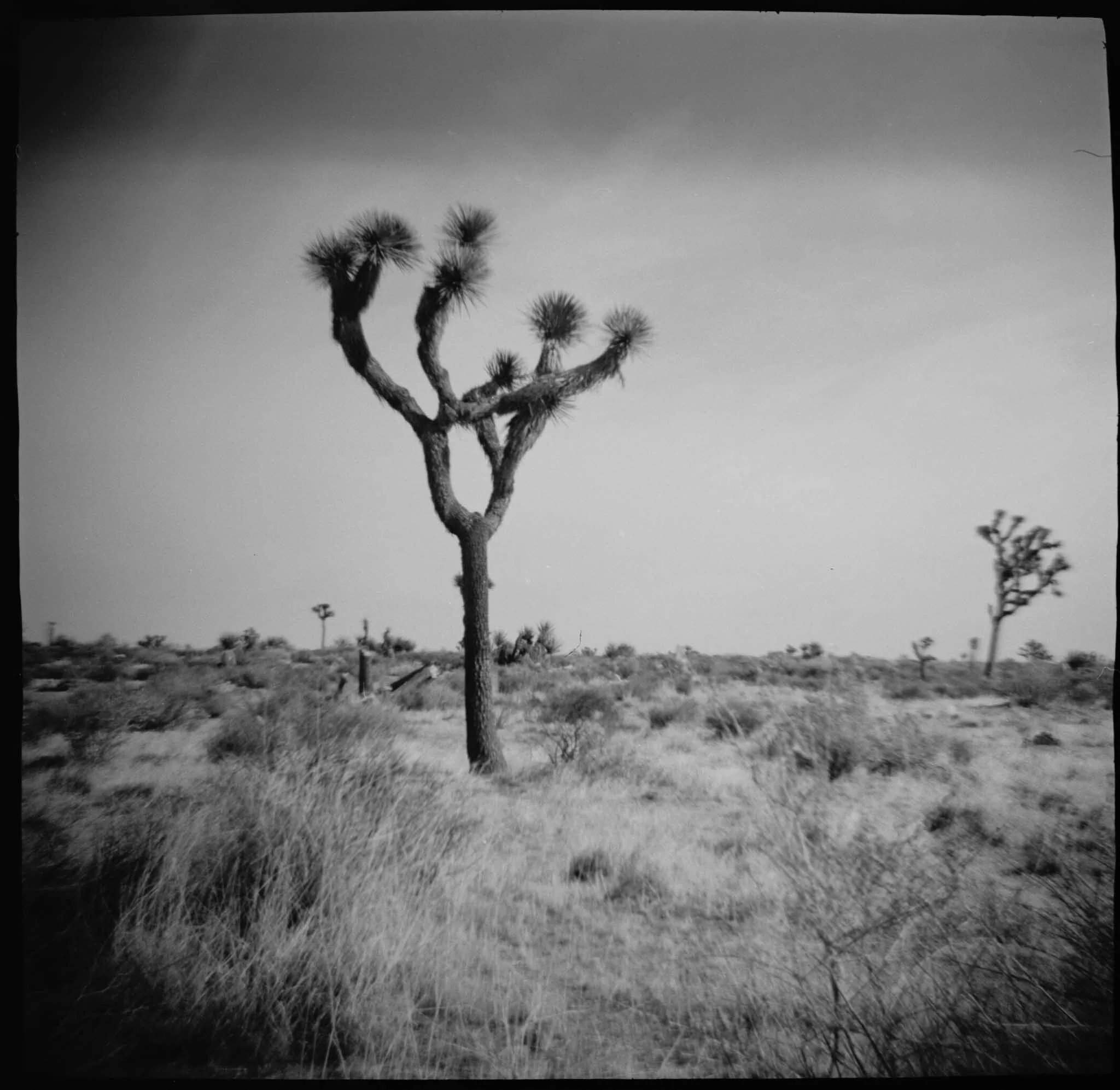 2008010219.jpg