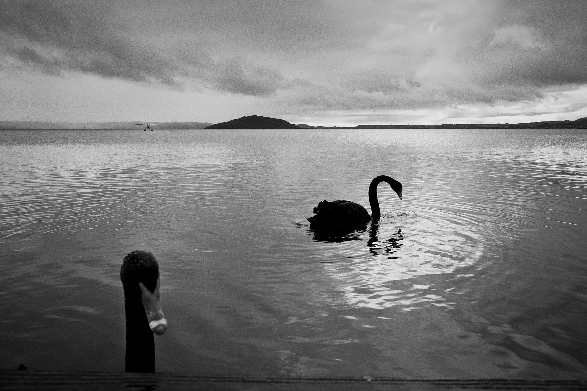Rotarua, New Zealand