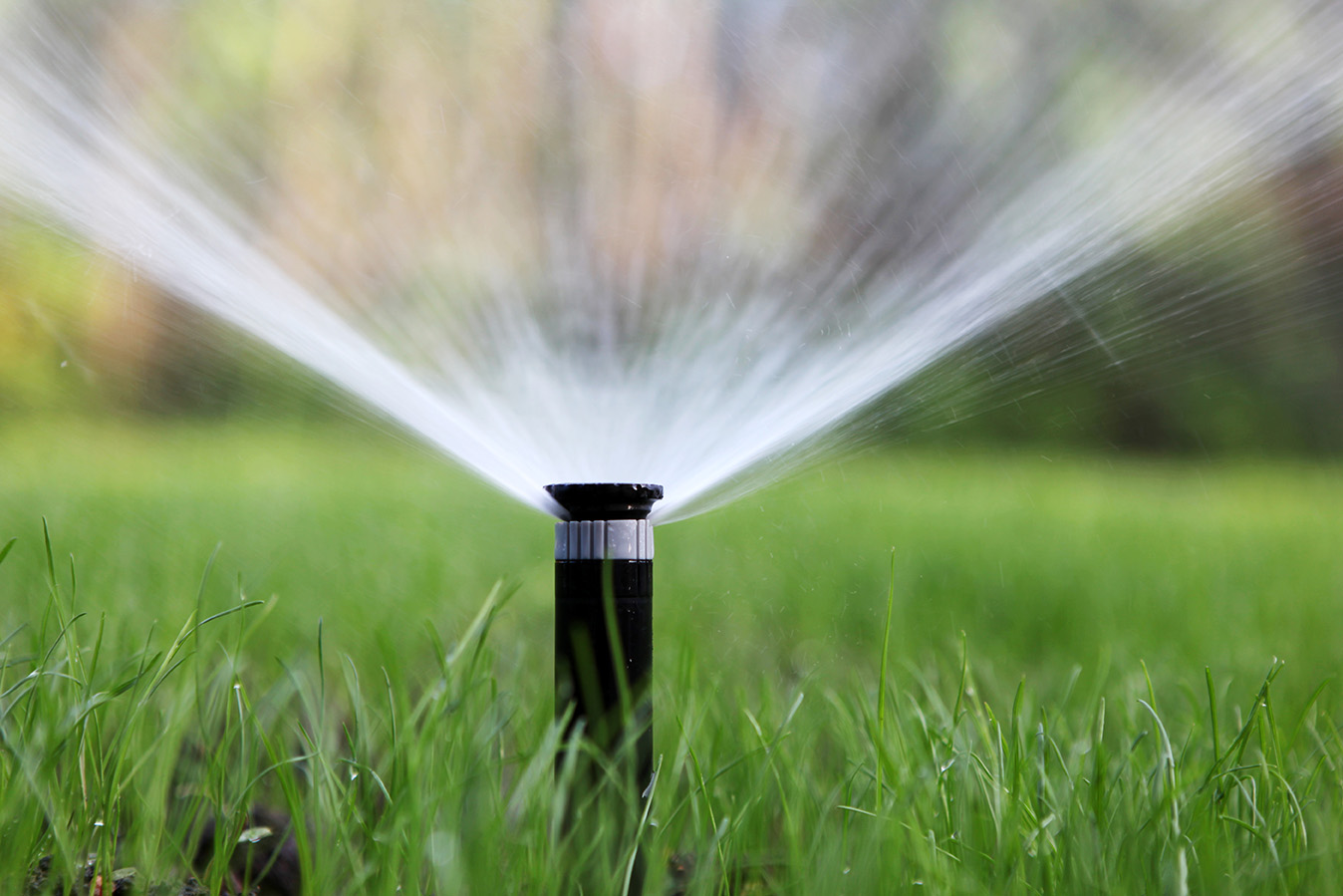 sprinkler-system-irrigation-copy.jpg