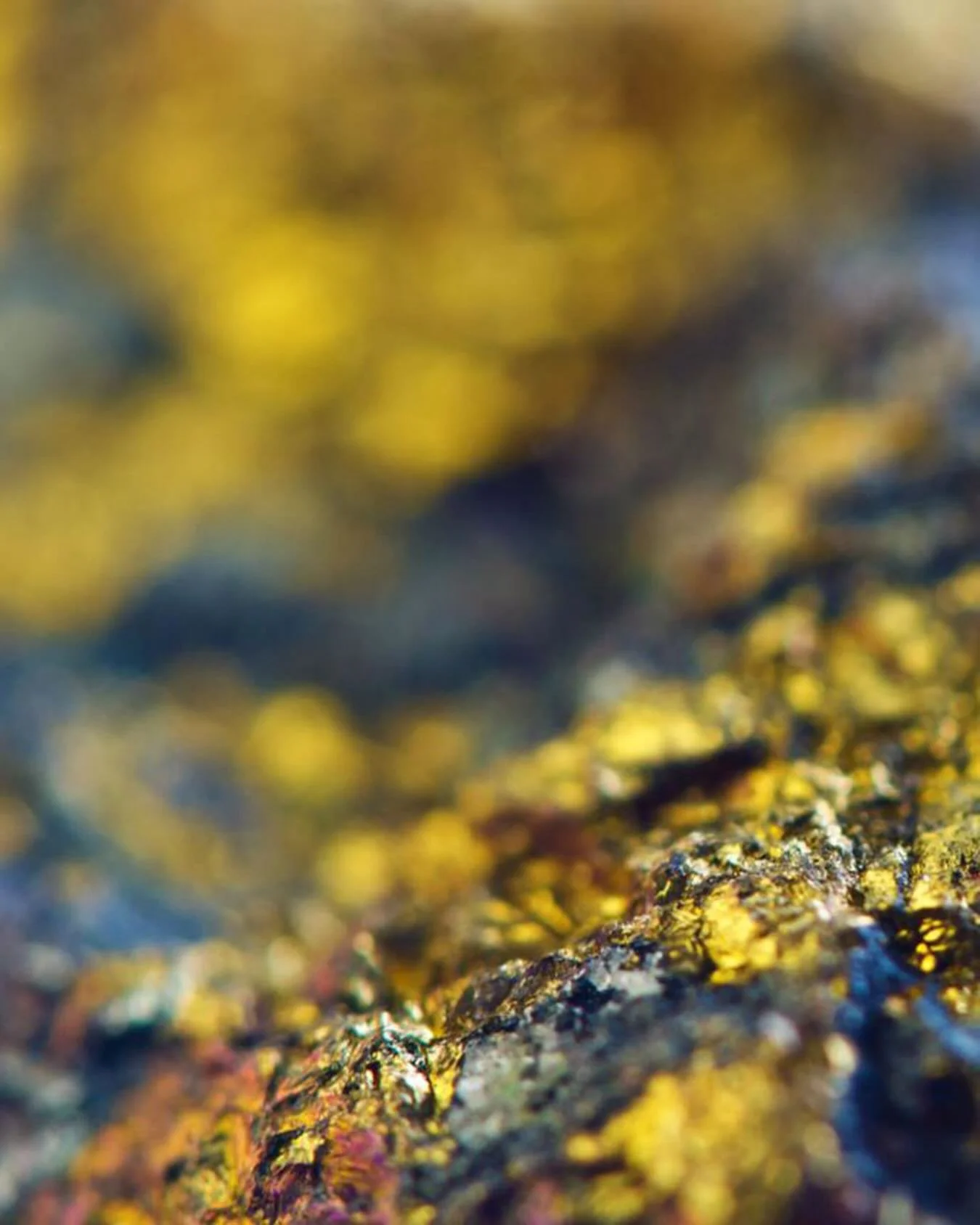 The 2026 Fall/Winter Astra Collection. Inspired by earth, light, mineral shimmer, and the celestial, Astra moves from texture to radiance, from vision to runway.
