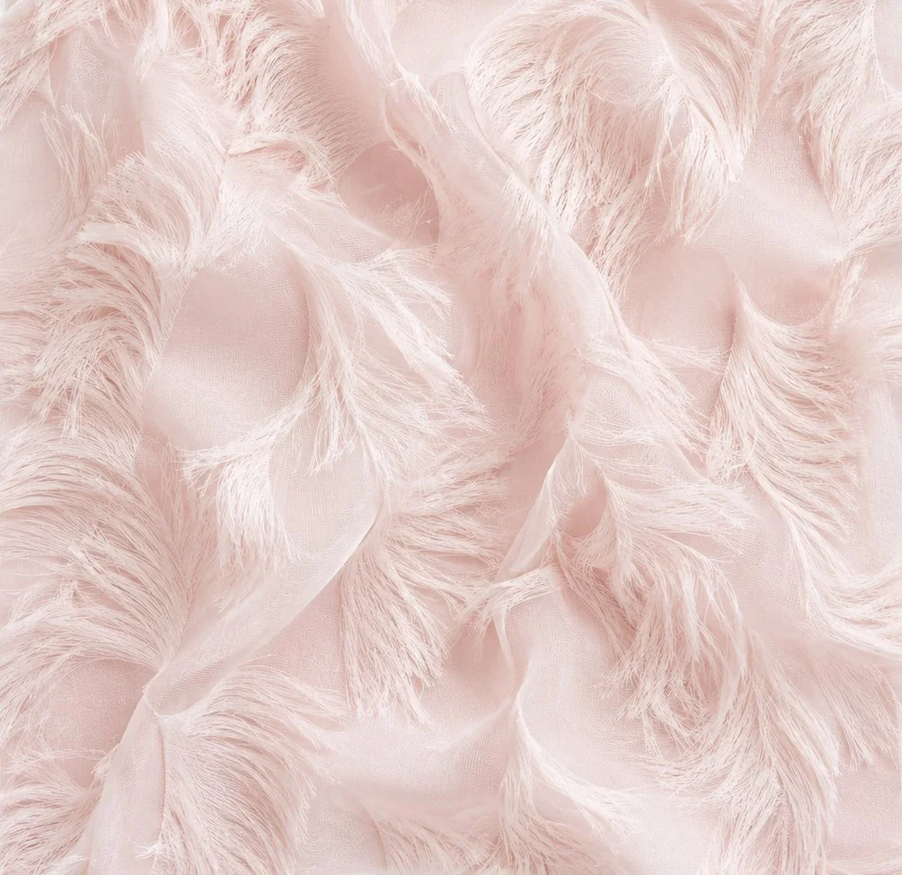 feather.jpg