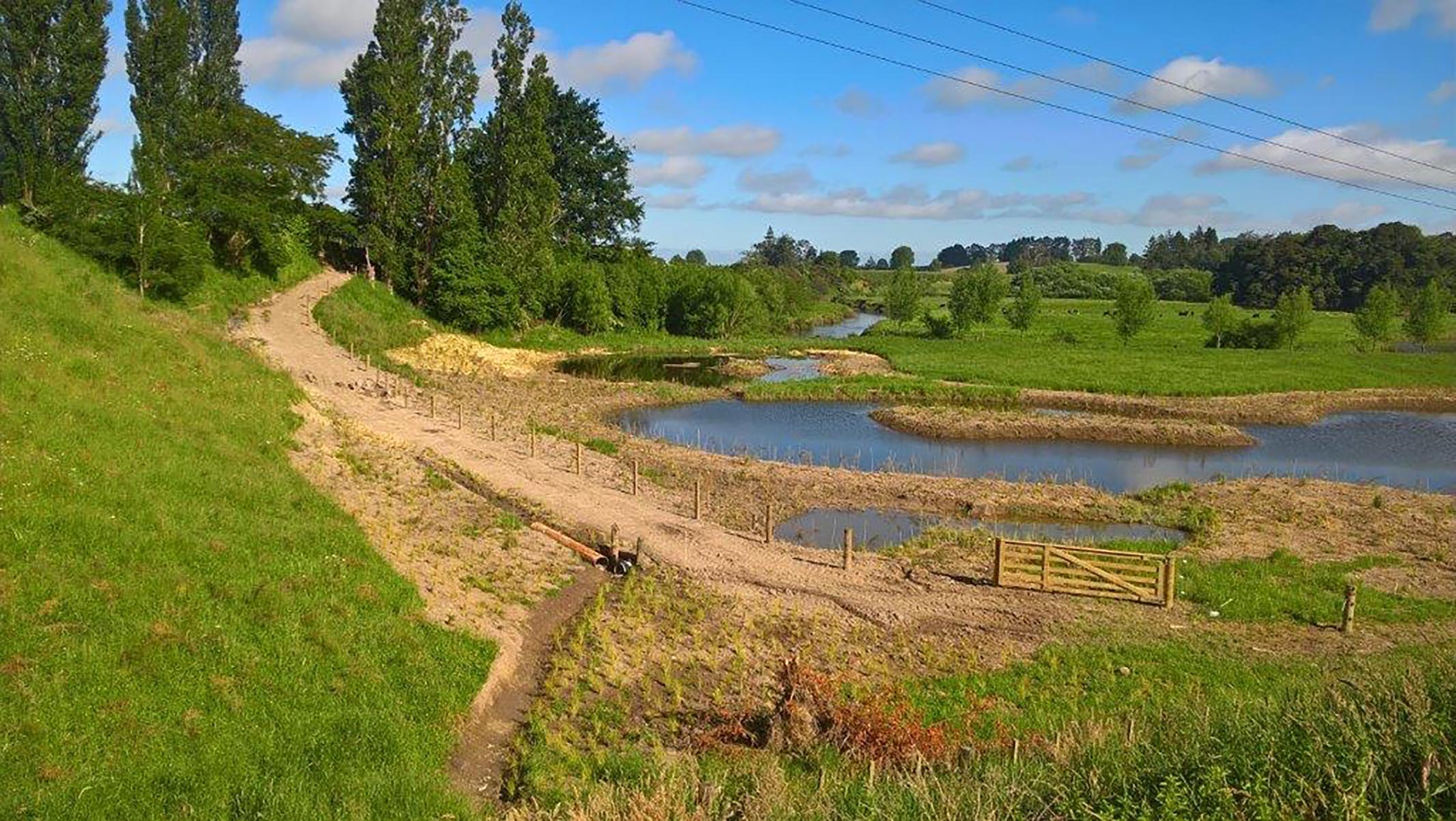 Copy of ManaakiTuna ponds.jpg