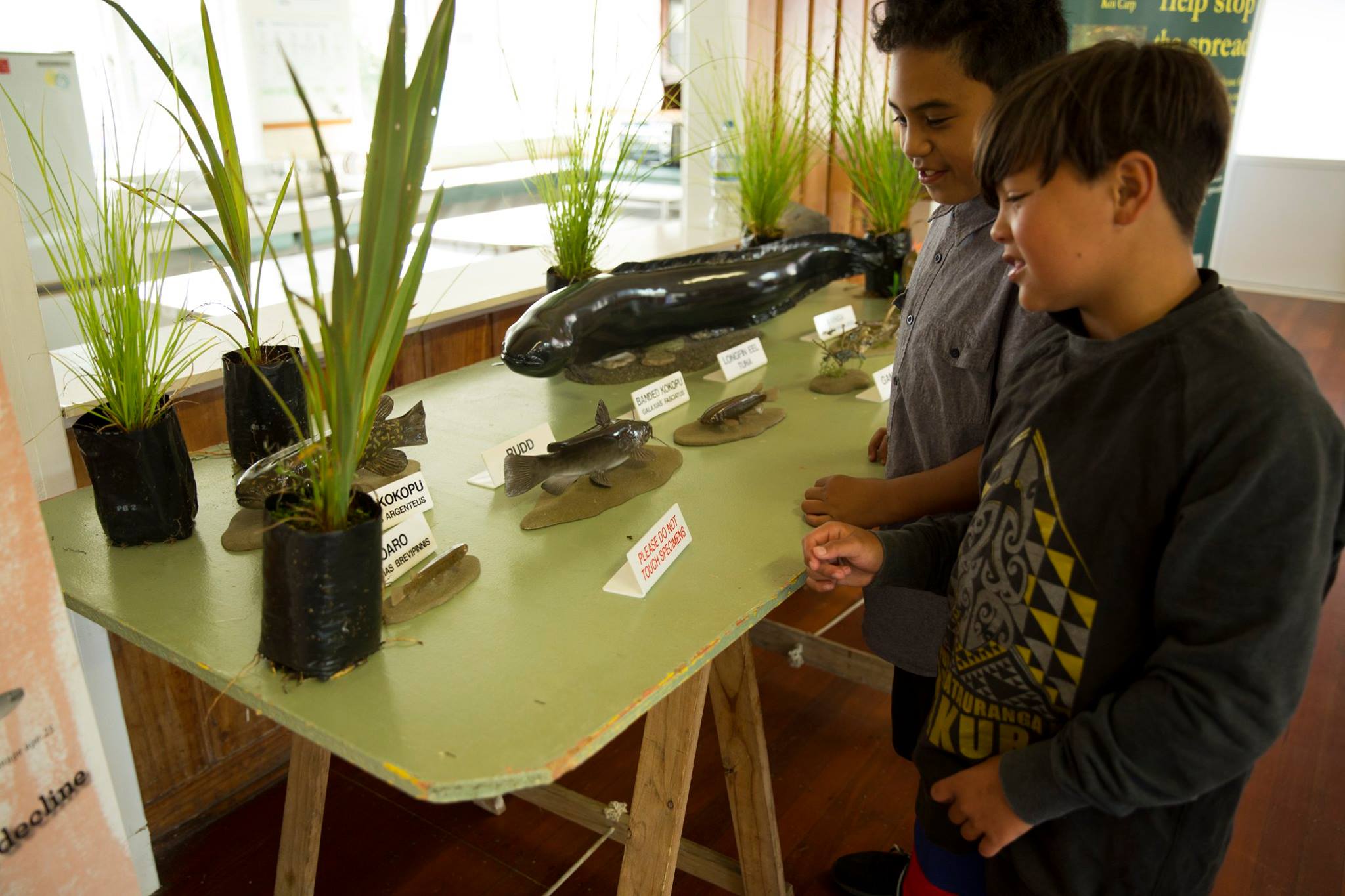 Waiora Workshop19.jpg