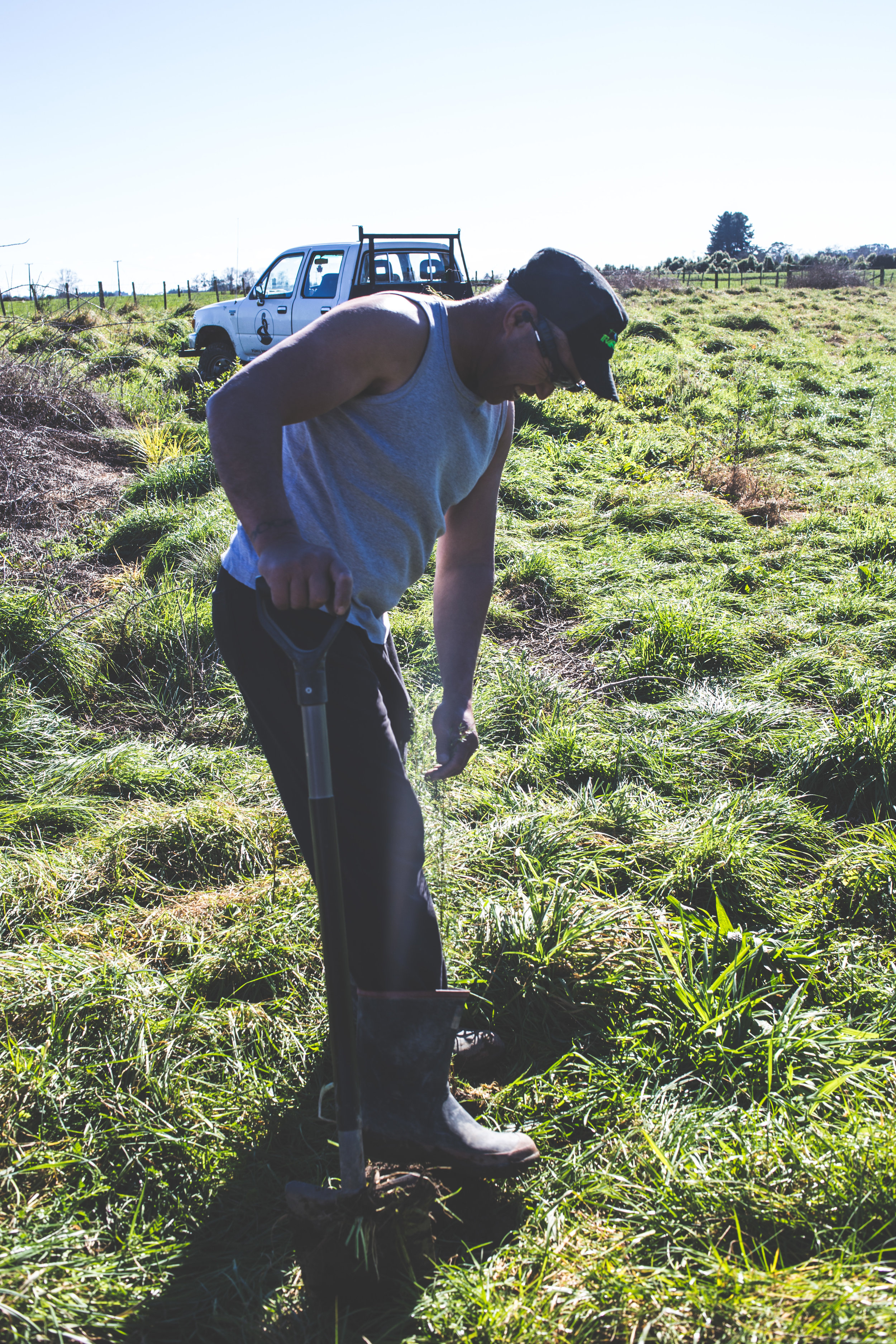 PLanting Season17-28.jpg